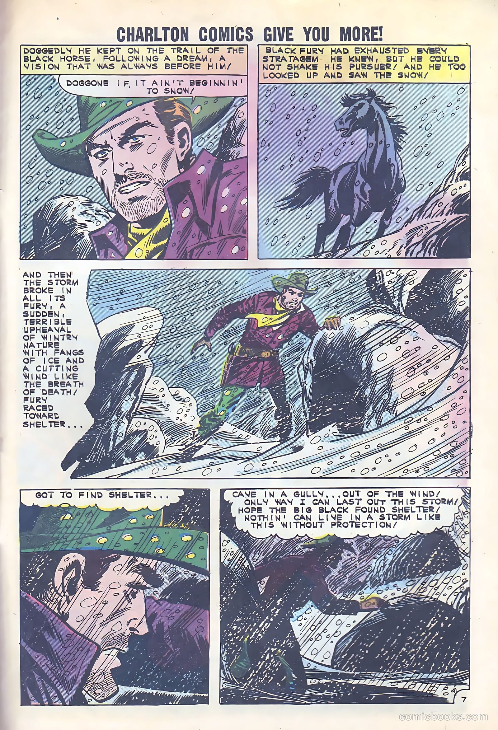 Black Fury #33 — page 30 of 37