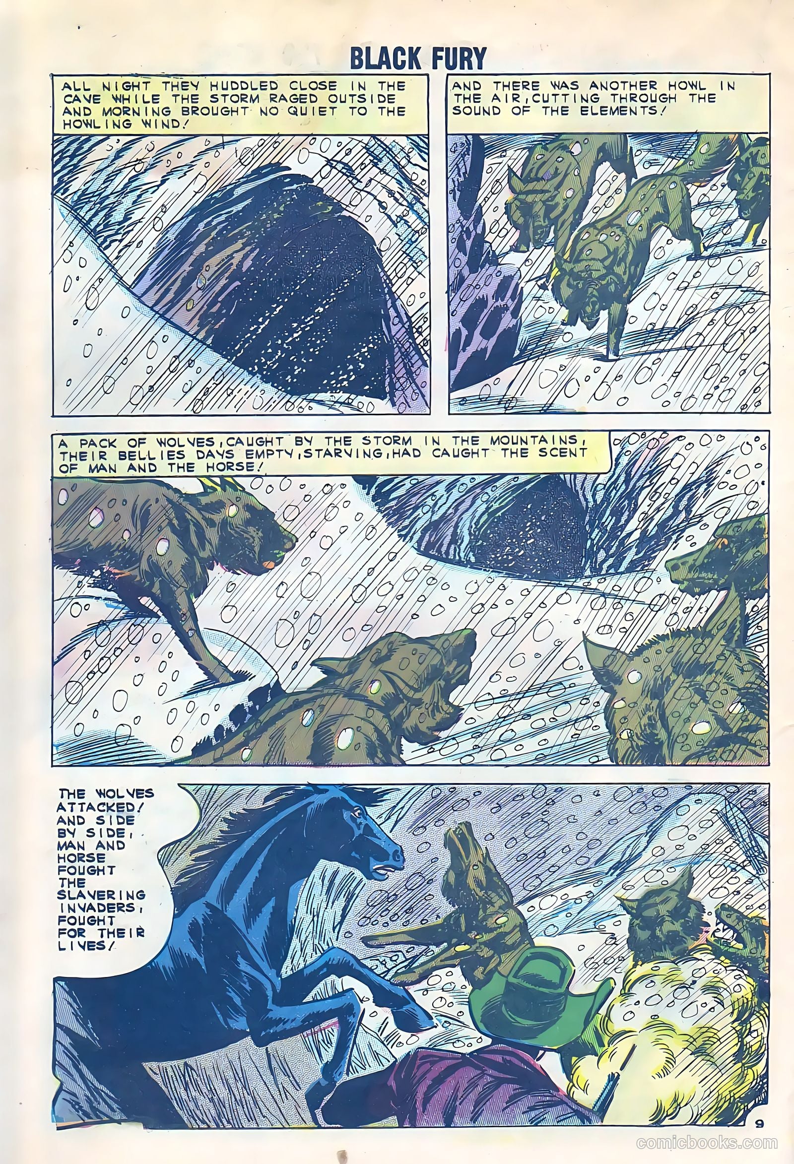 Black Fury #33 — page 33 of 37