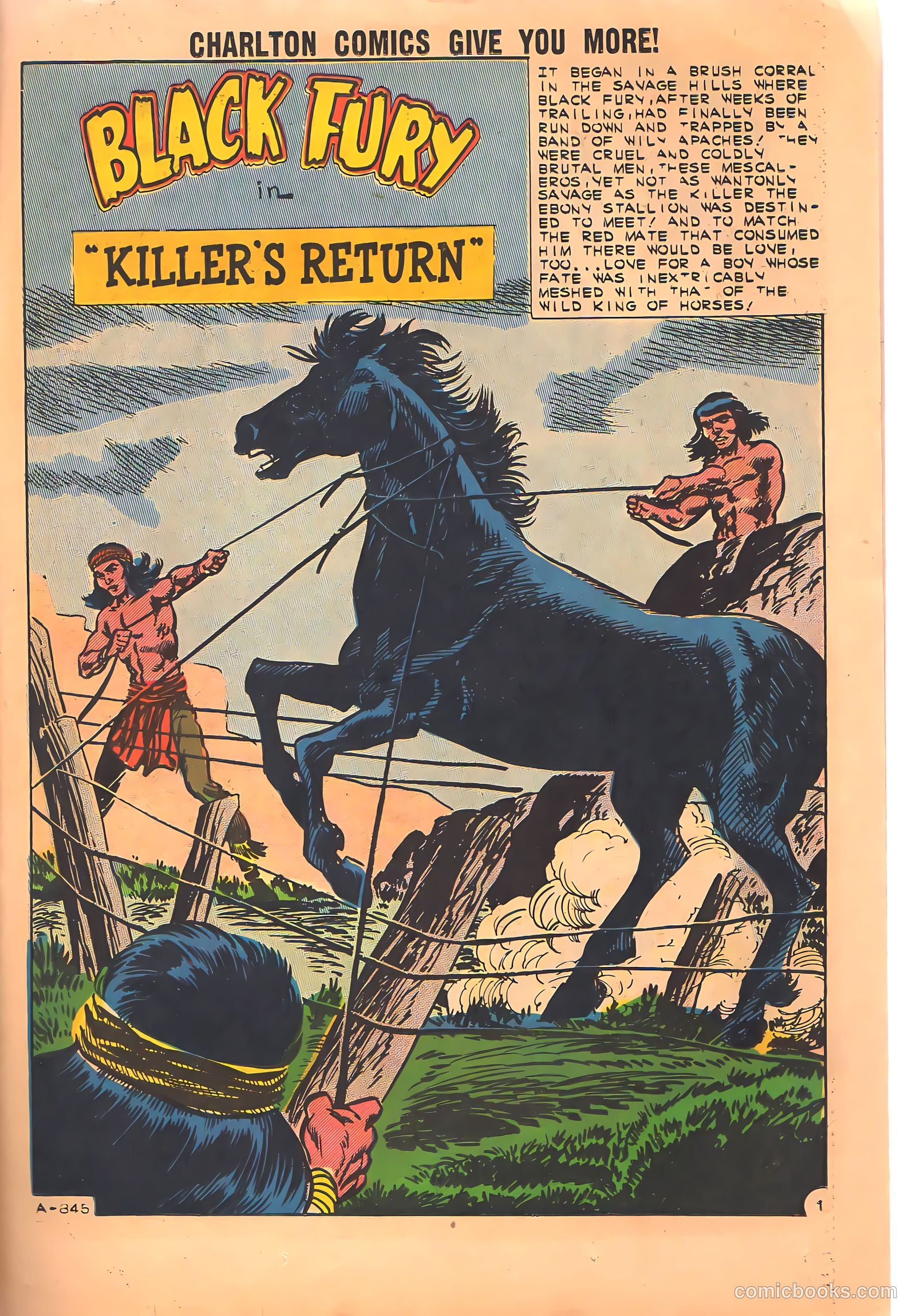 Black Fury #34 — page 23 of 36