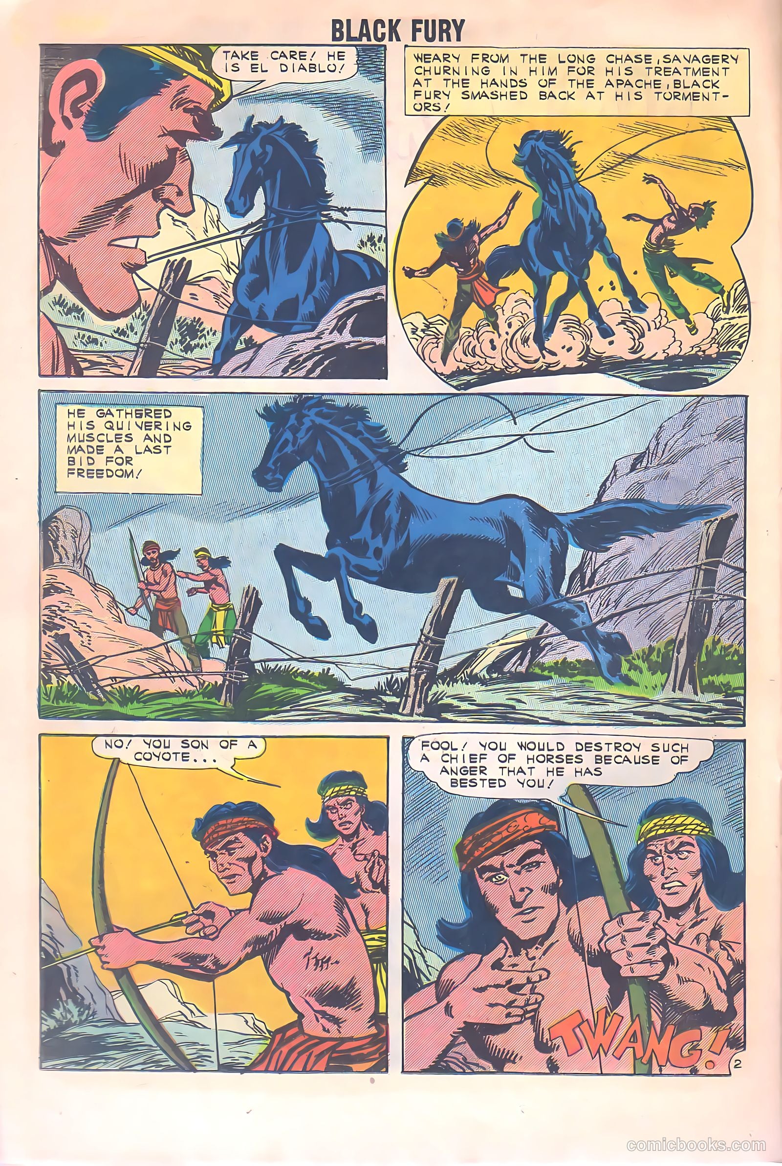 Black Fury #34 — page 24 of 36
