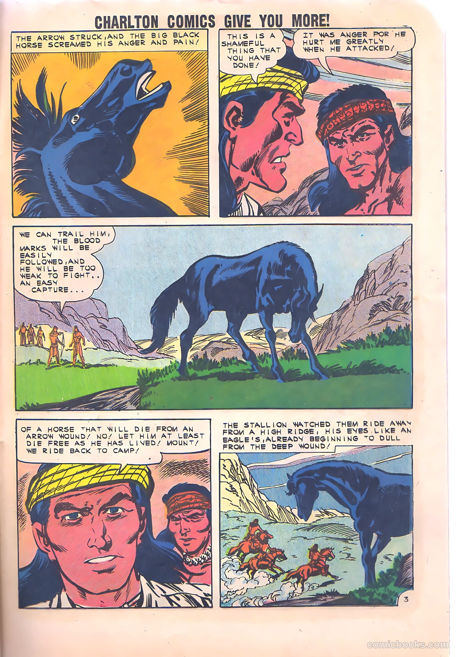 Black Fury #34 — page 25 of 36