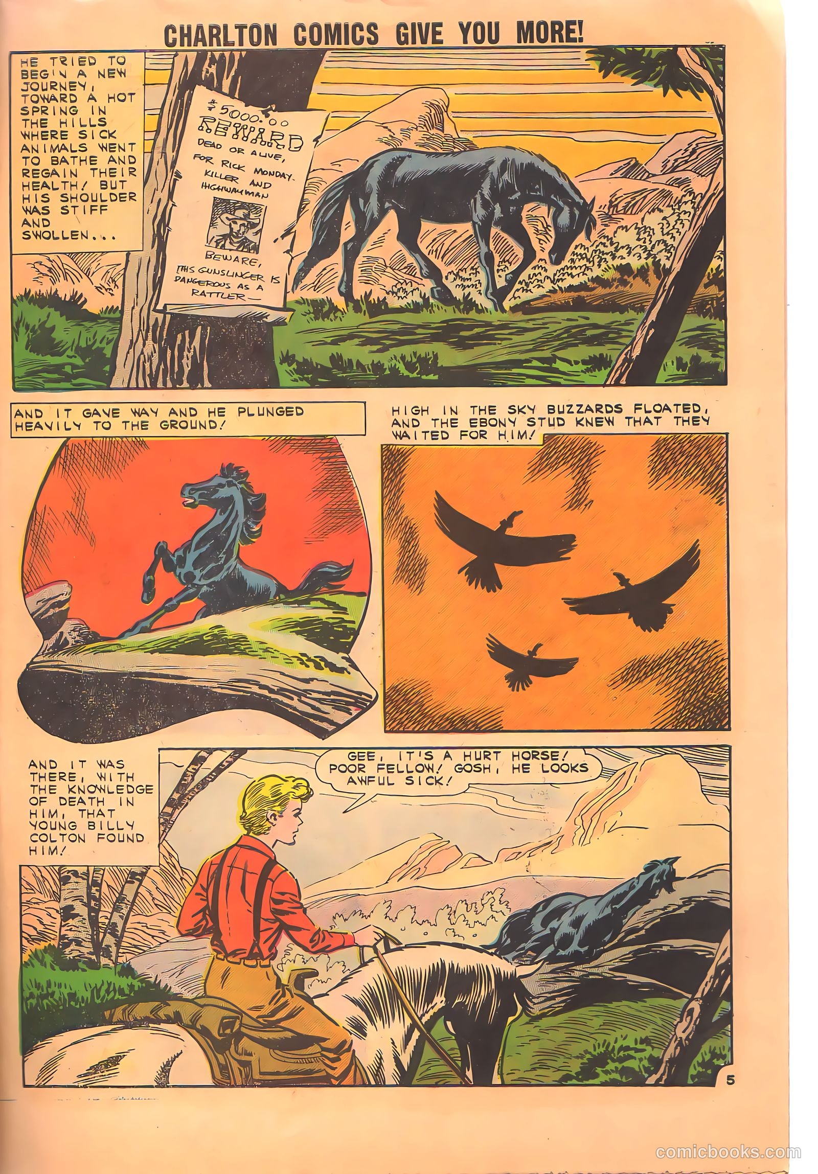 Black Fury #34 — page 27 of 36