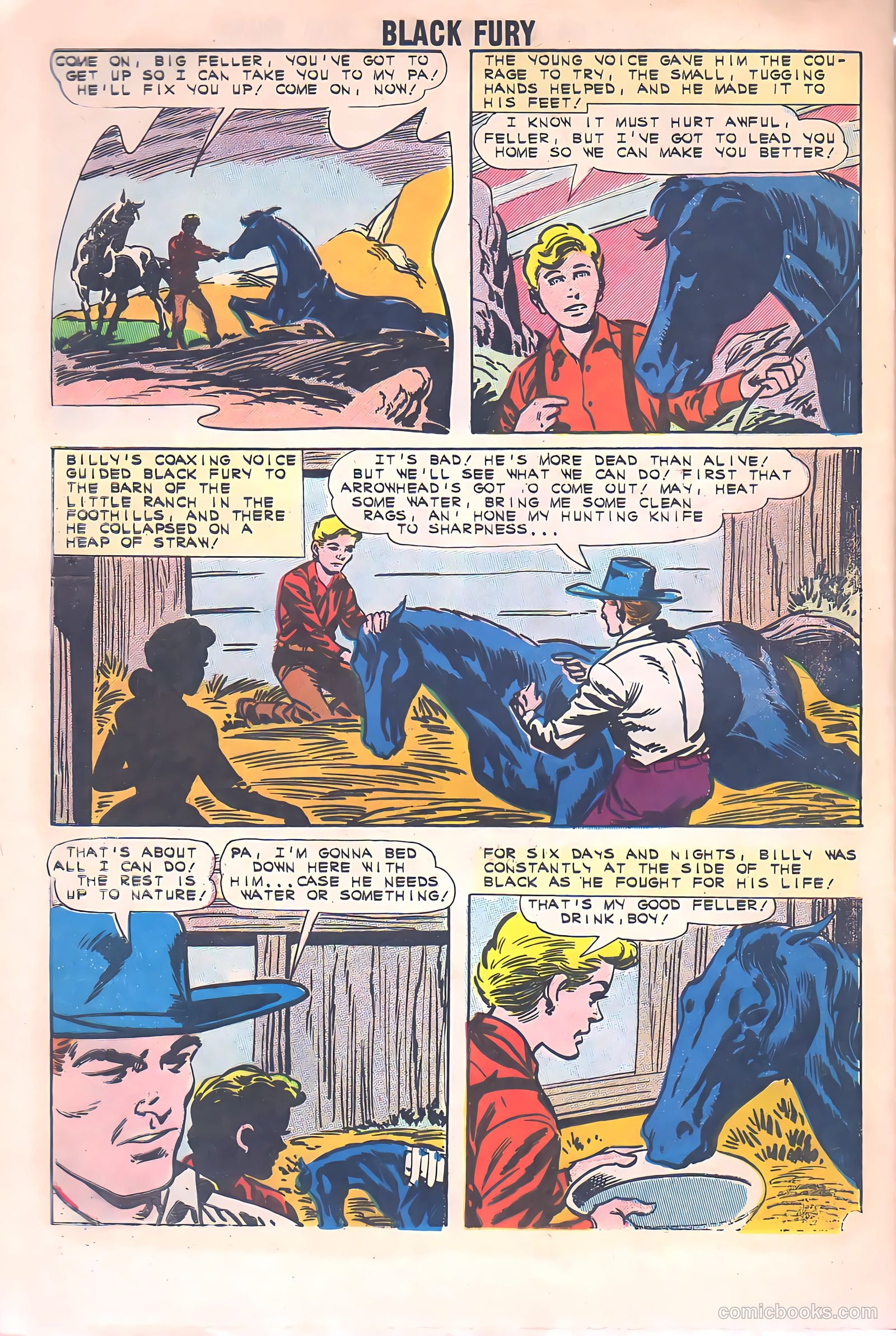 Black Fury #34 — page 28 of 36