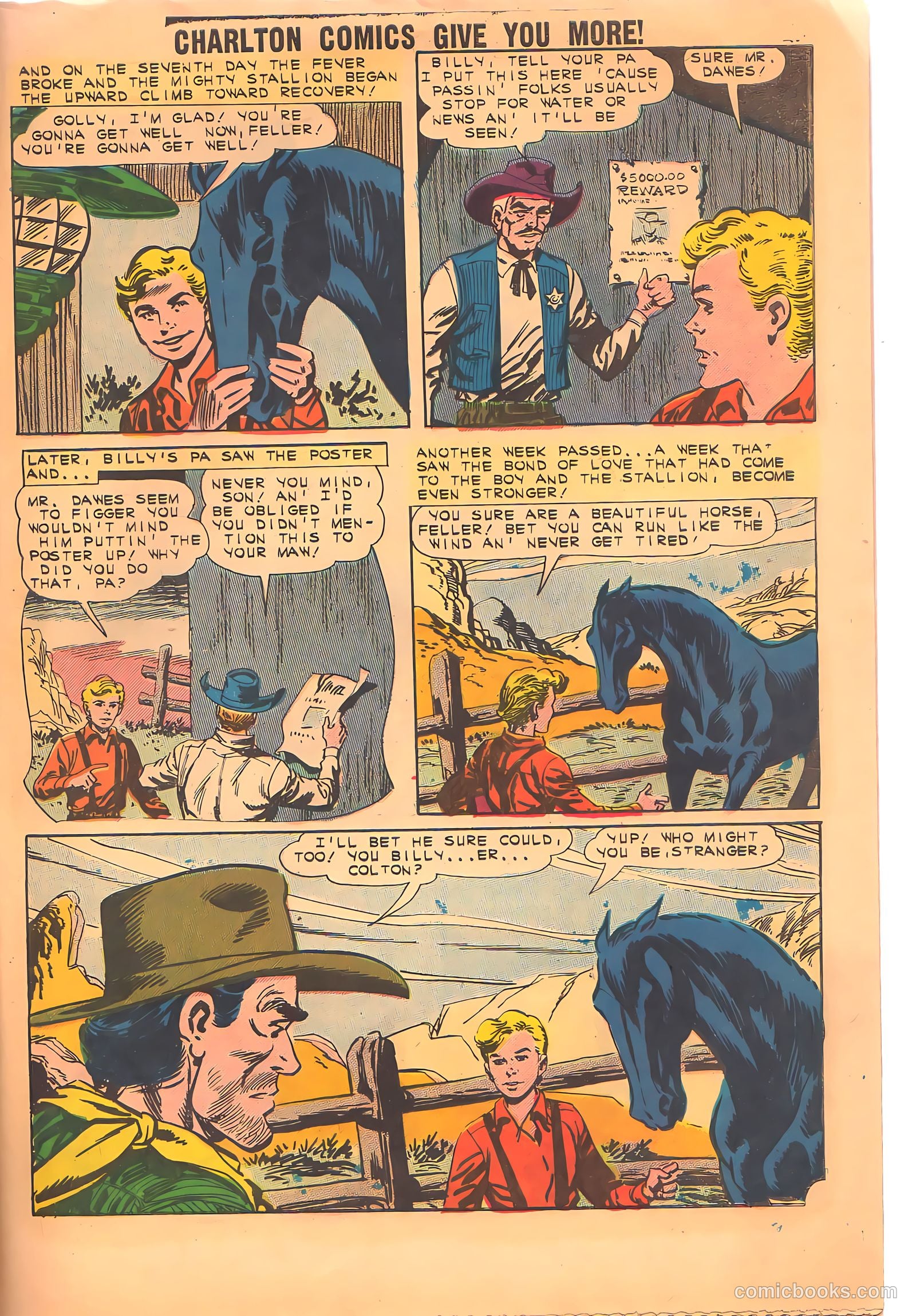 Black Fury #34 — page 29 of 36