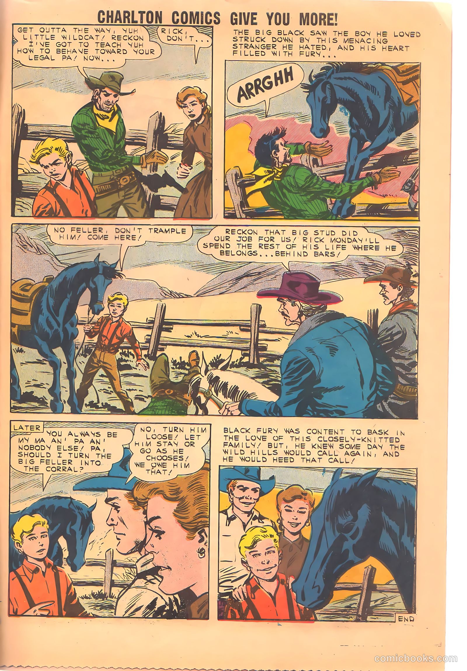 Black Fury #34 — page 33 of 36