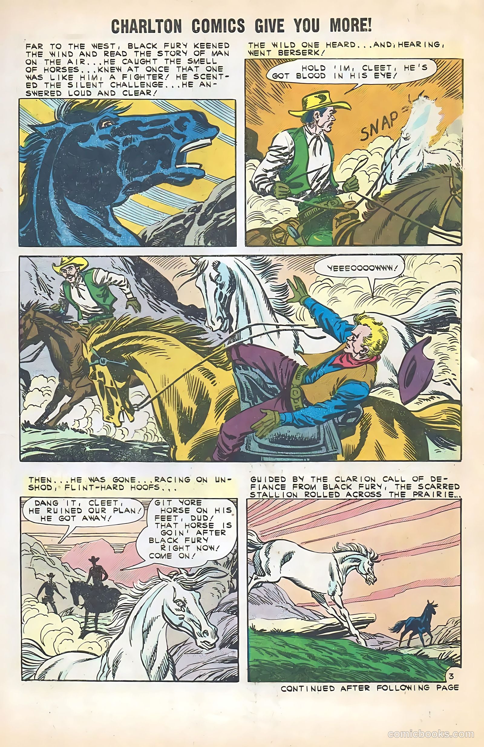 Black Fury #35 — page 5 of 36