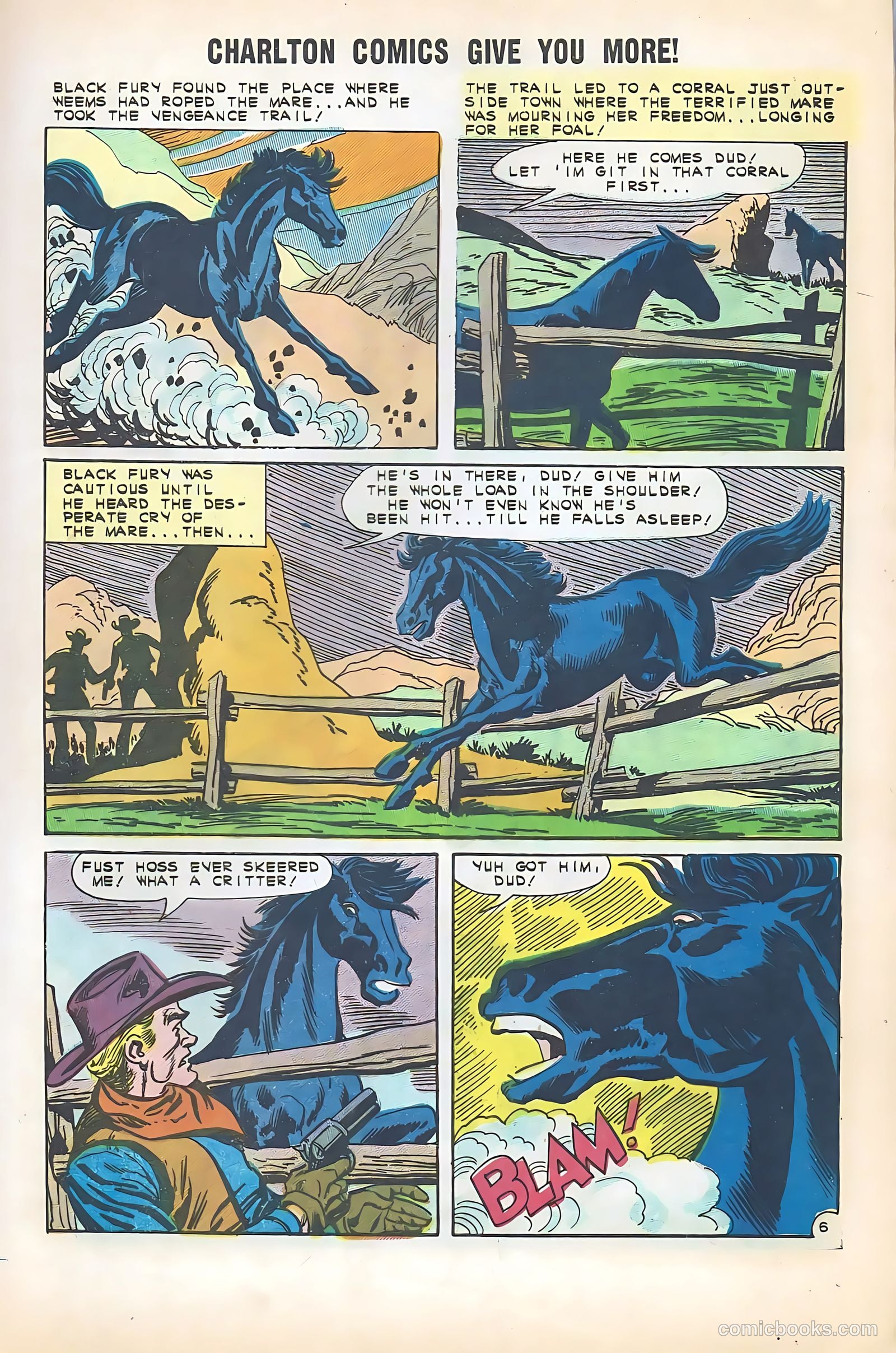 Black Fury #35 — page 9 of 36