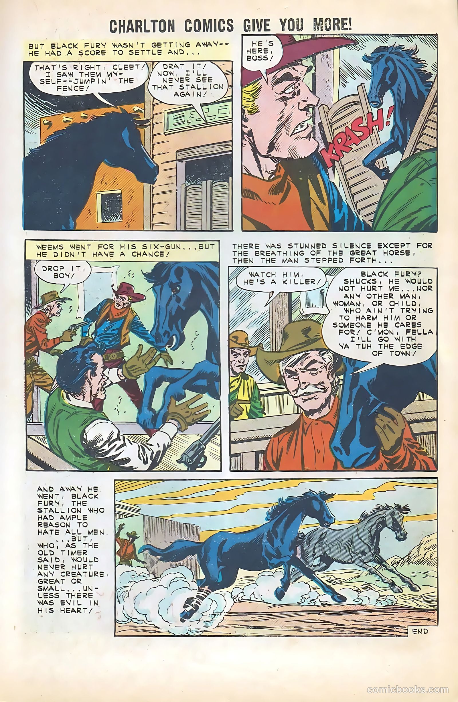 Black Fury #35 — page 11 of 36