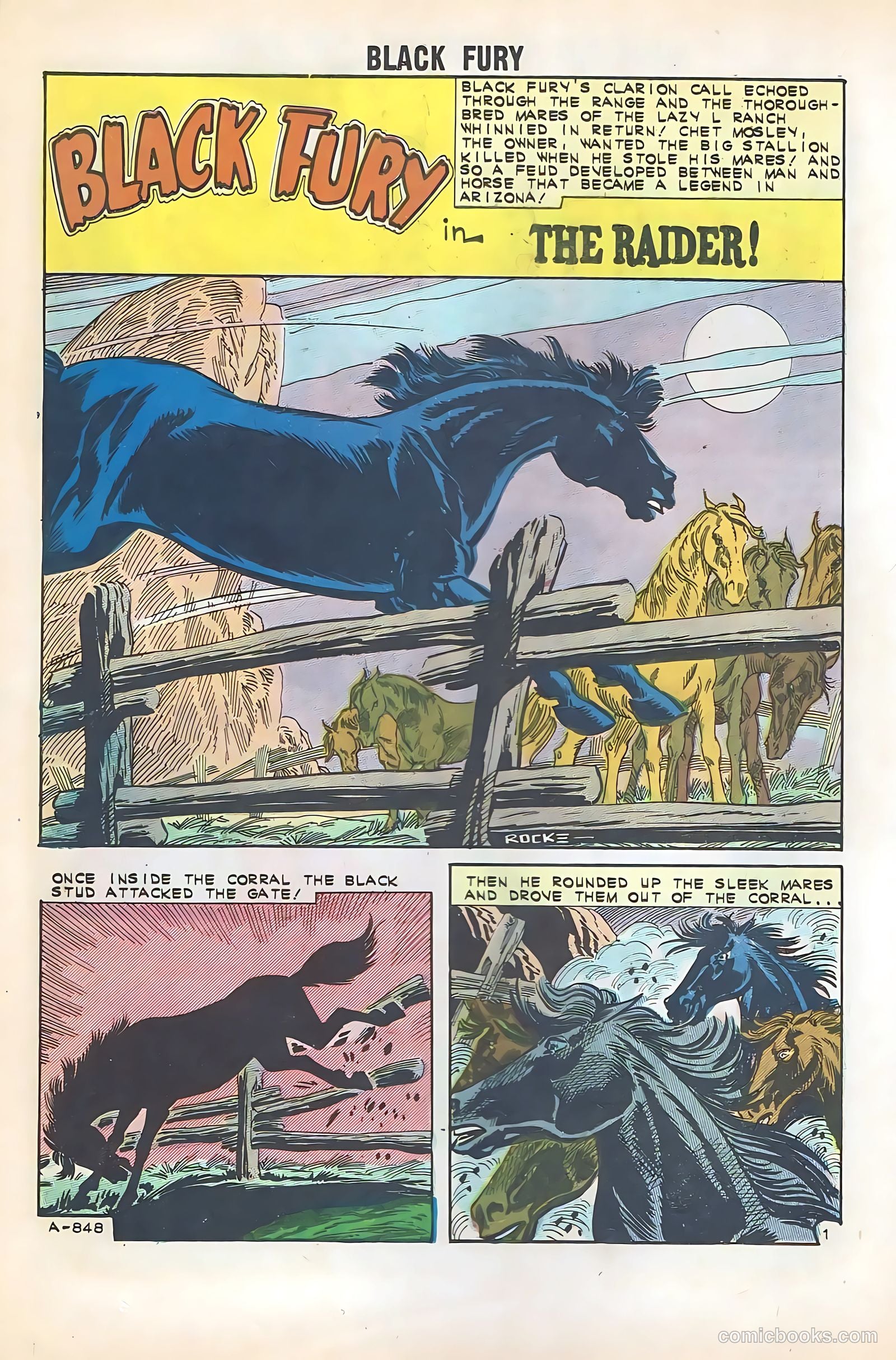 Black Fury #35 — page 12 of 36