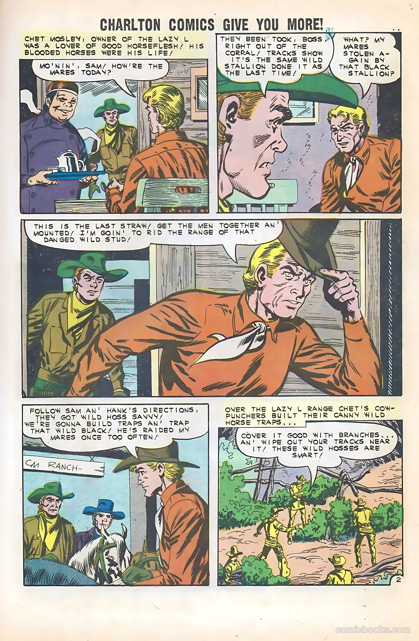 Black Fury #35 — page 13 of 36