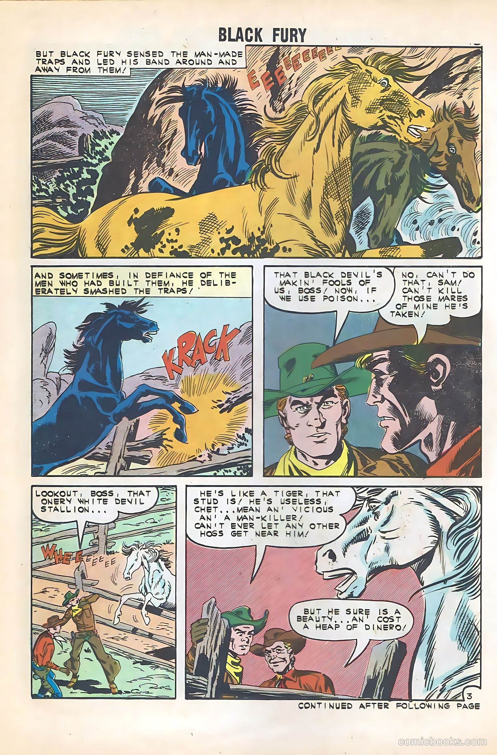 Black Fury #35 — page 14 of 36