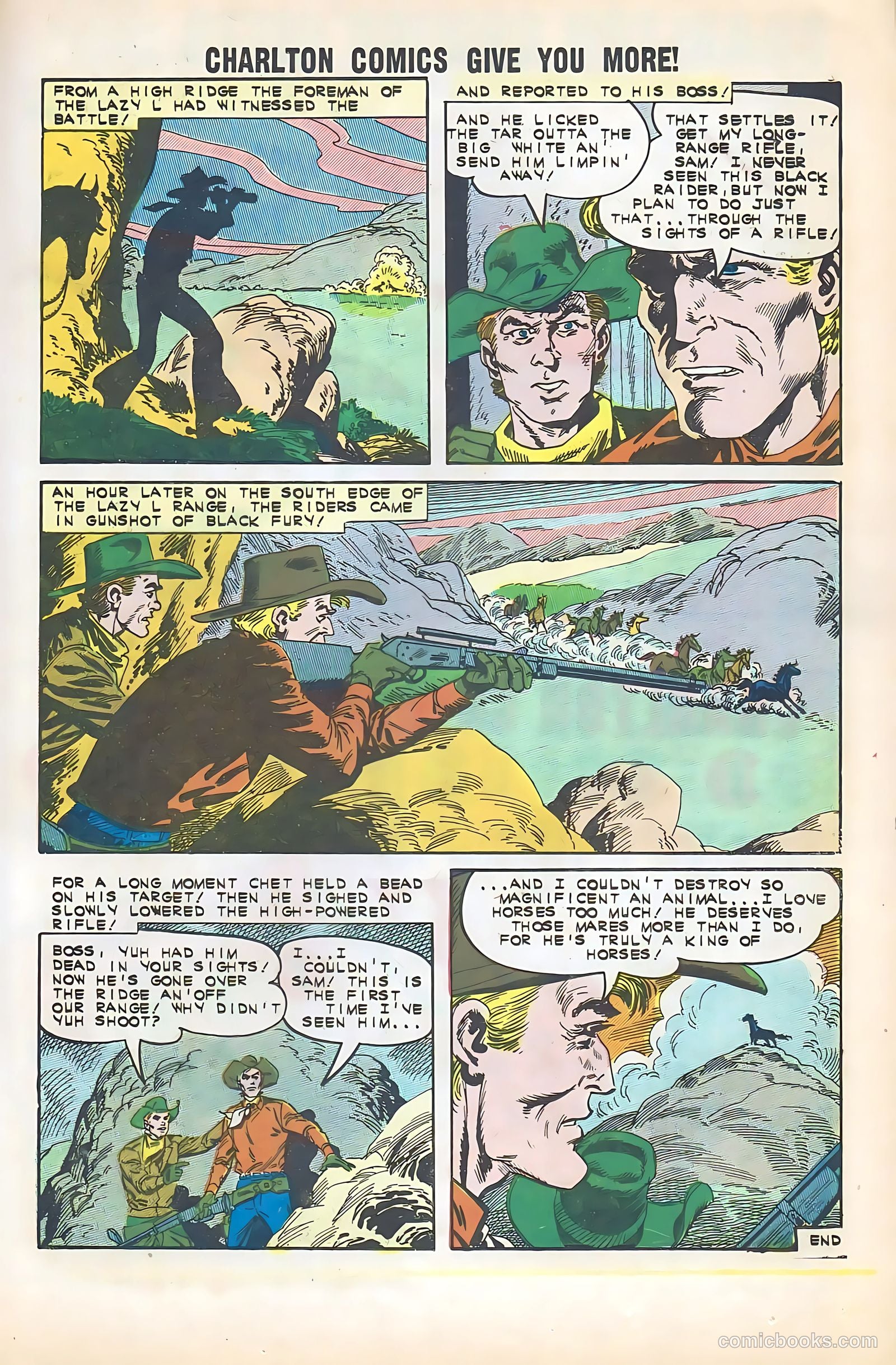 Black Fury #35 — page 17 of 36
