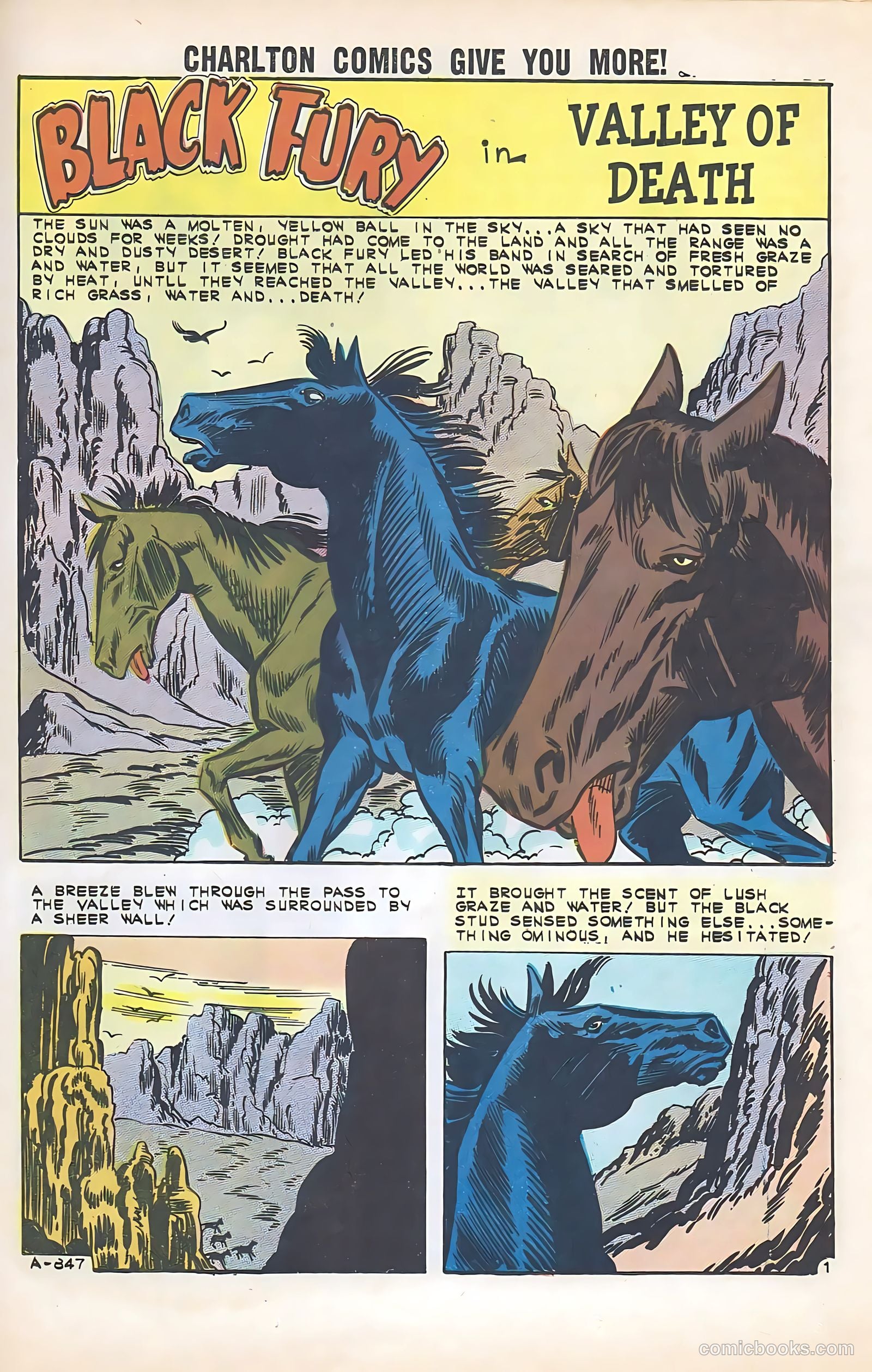 Black Fury #35 — page 25 of 36
