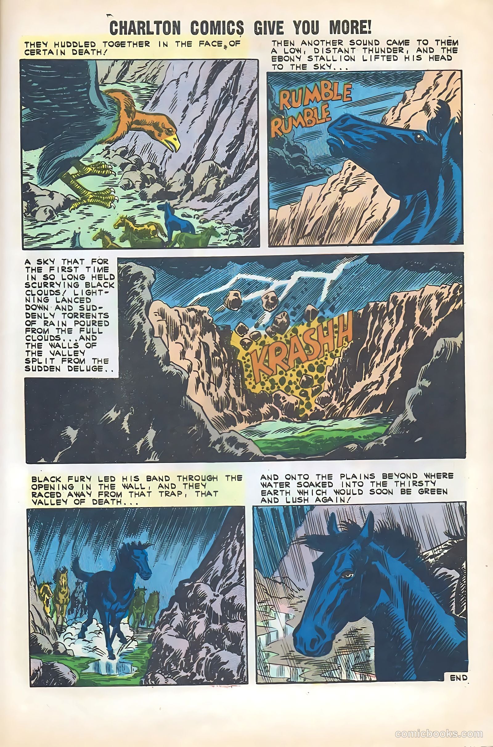 Black Fury #35 — page 29 of 36