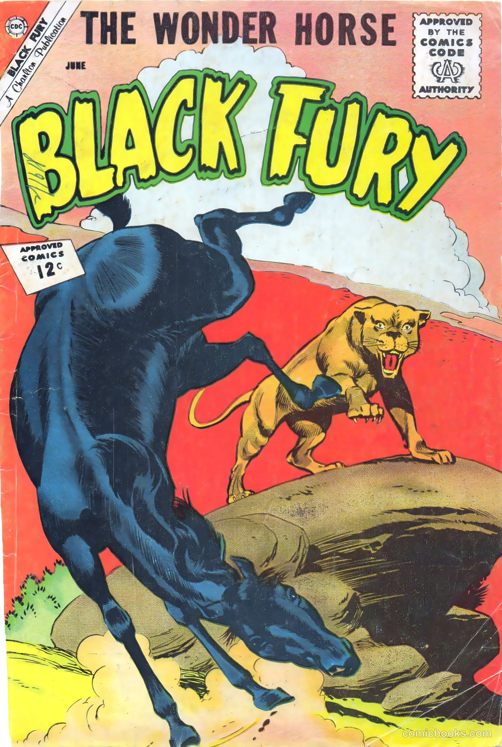 Black Fury #36 — page 1 of 36