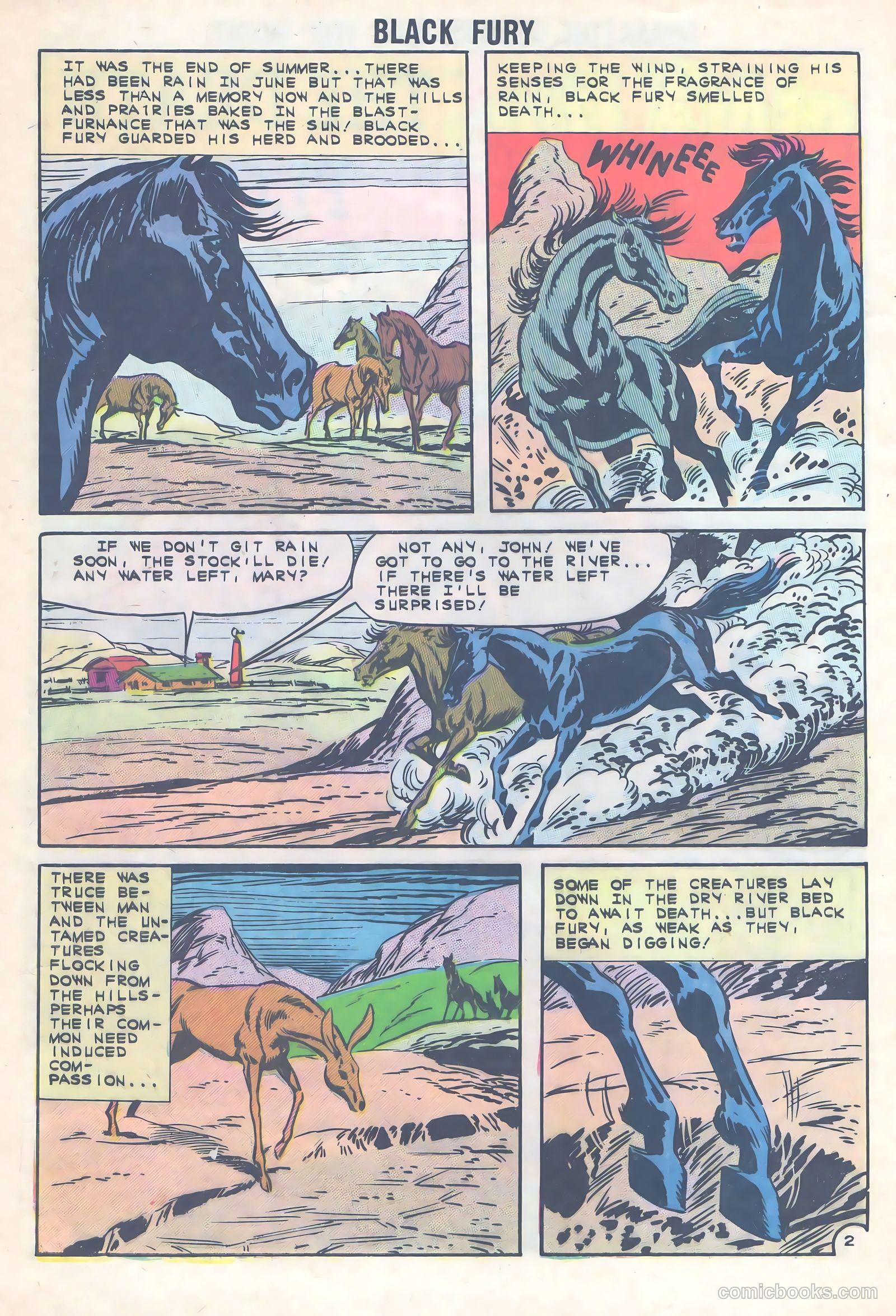 Black Fury #36 — page 4 of 36