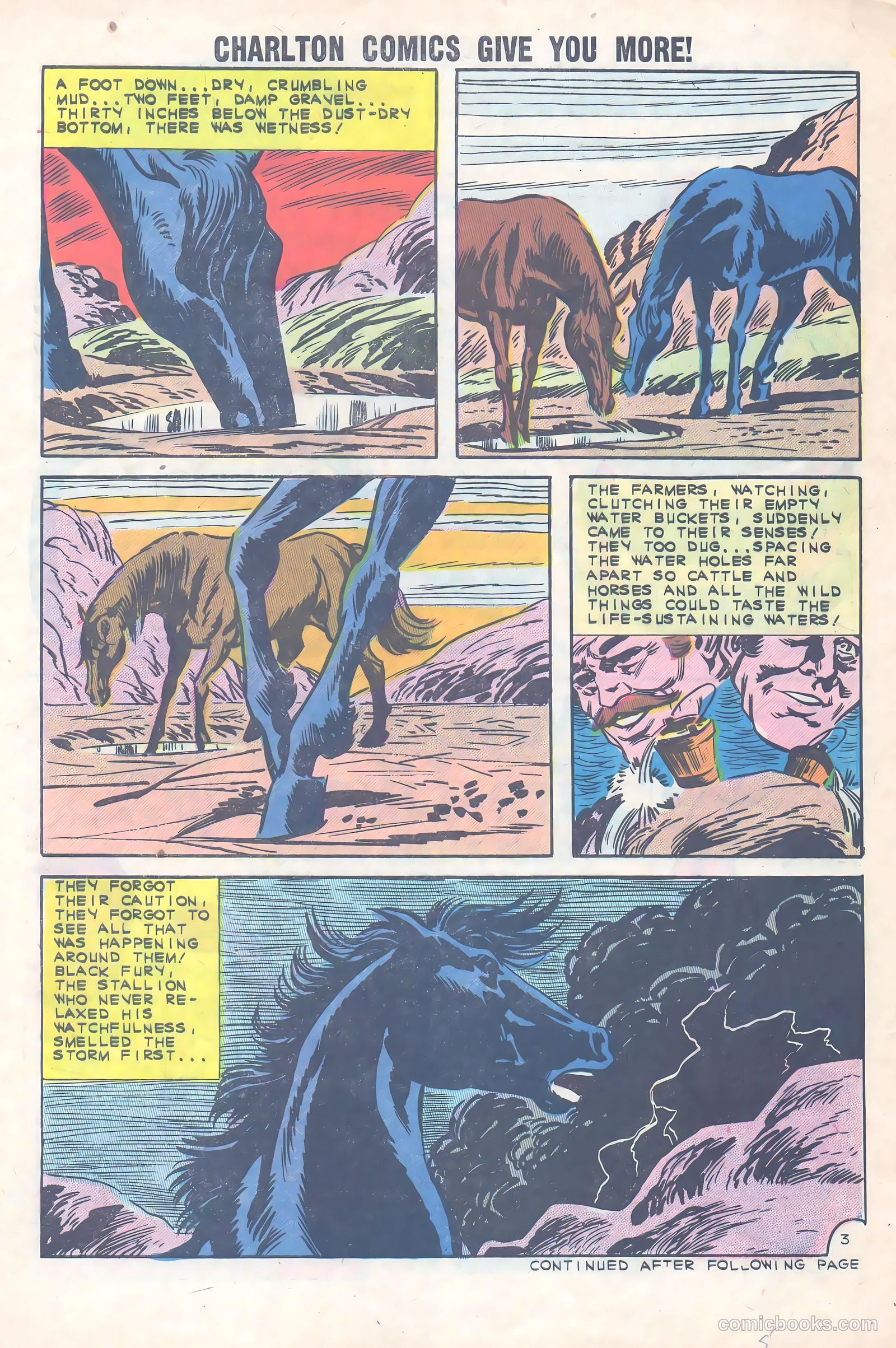 Black Fury #36 — page 5 of 36
