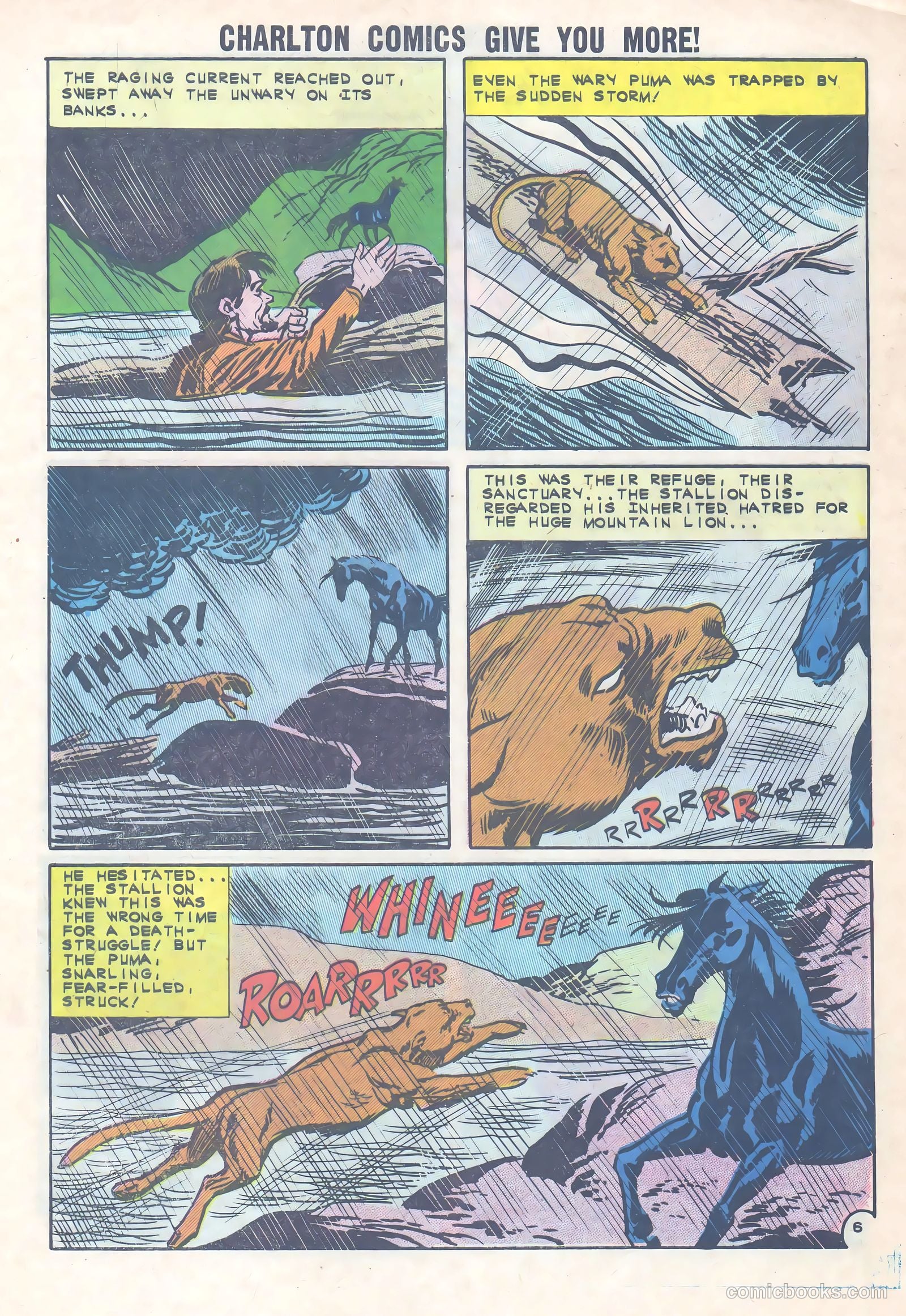 Black Fury #36 — page 9 of 36