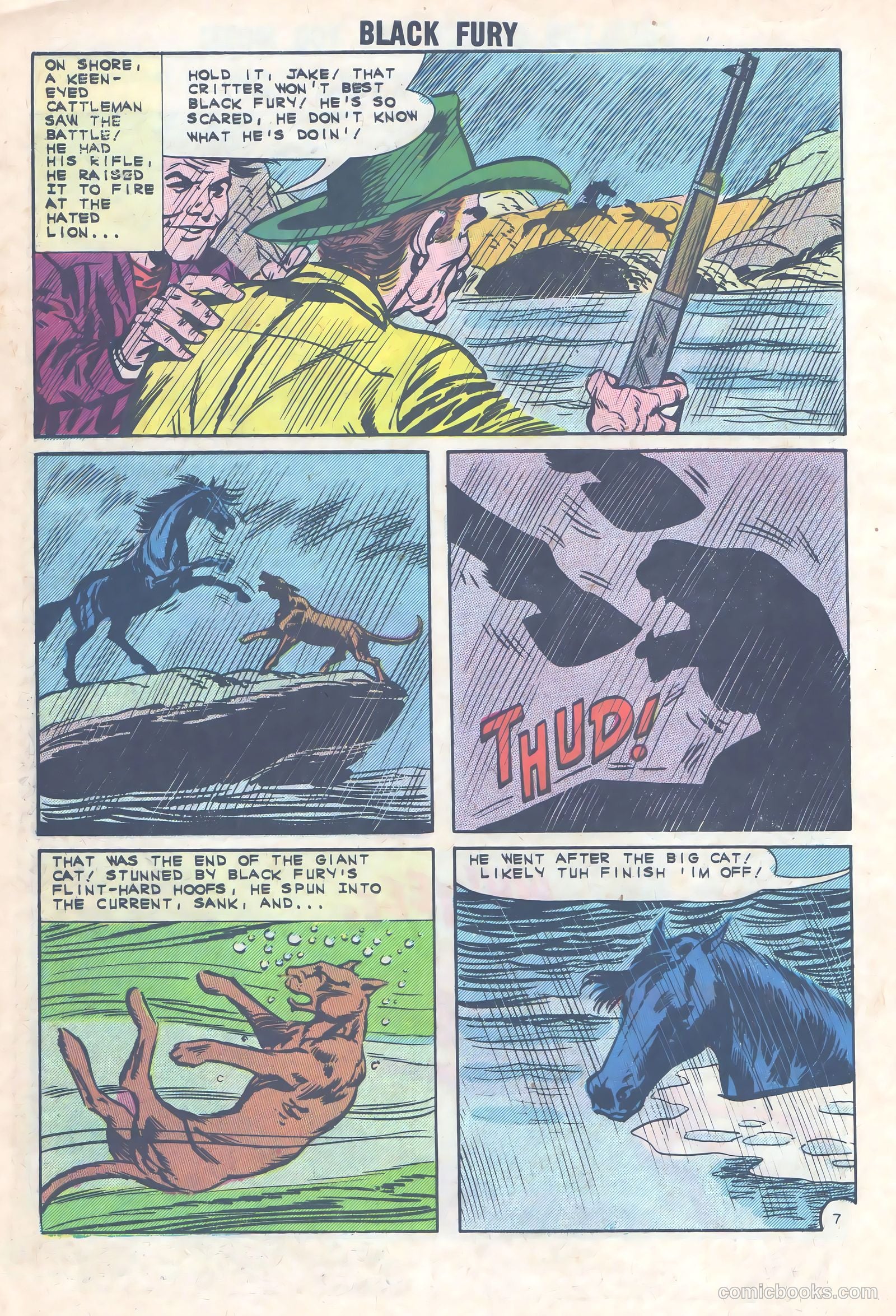 Black Fury #36 — page 10 of 36