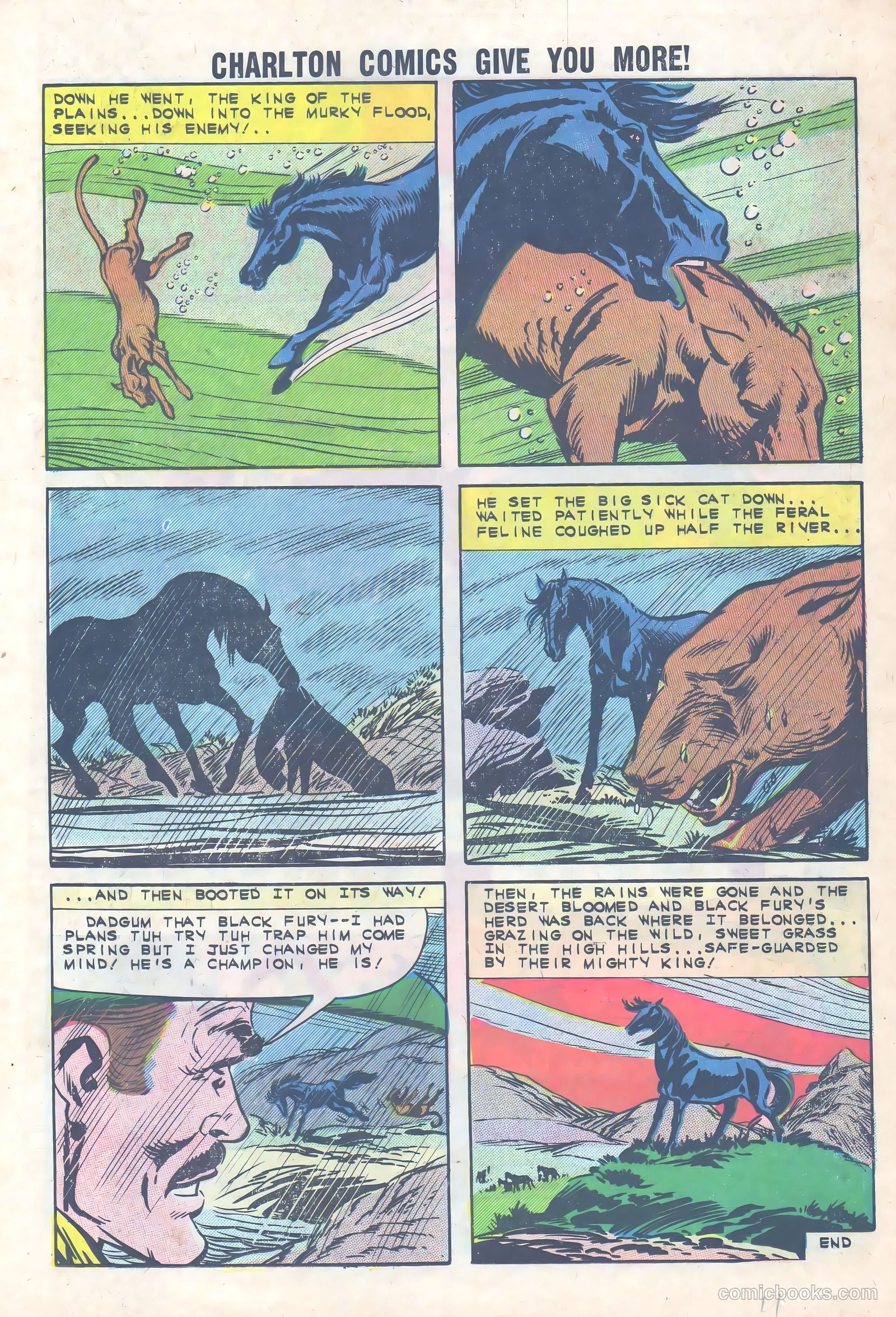 Black Fury #36 — page 11 of 36