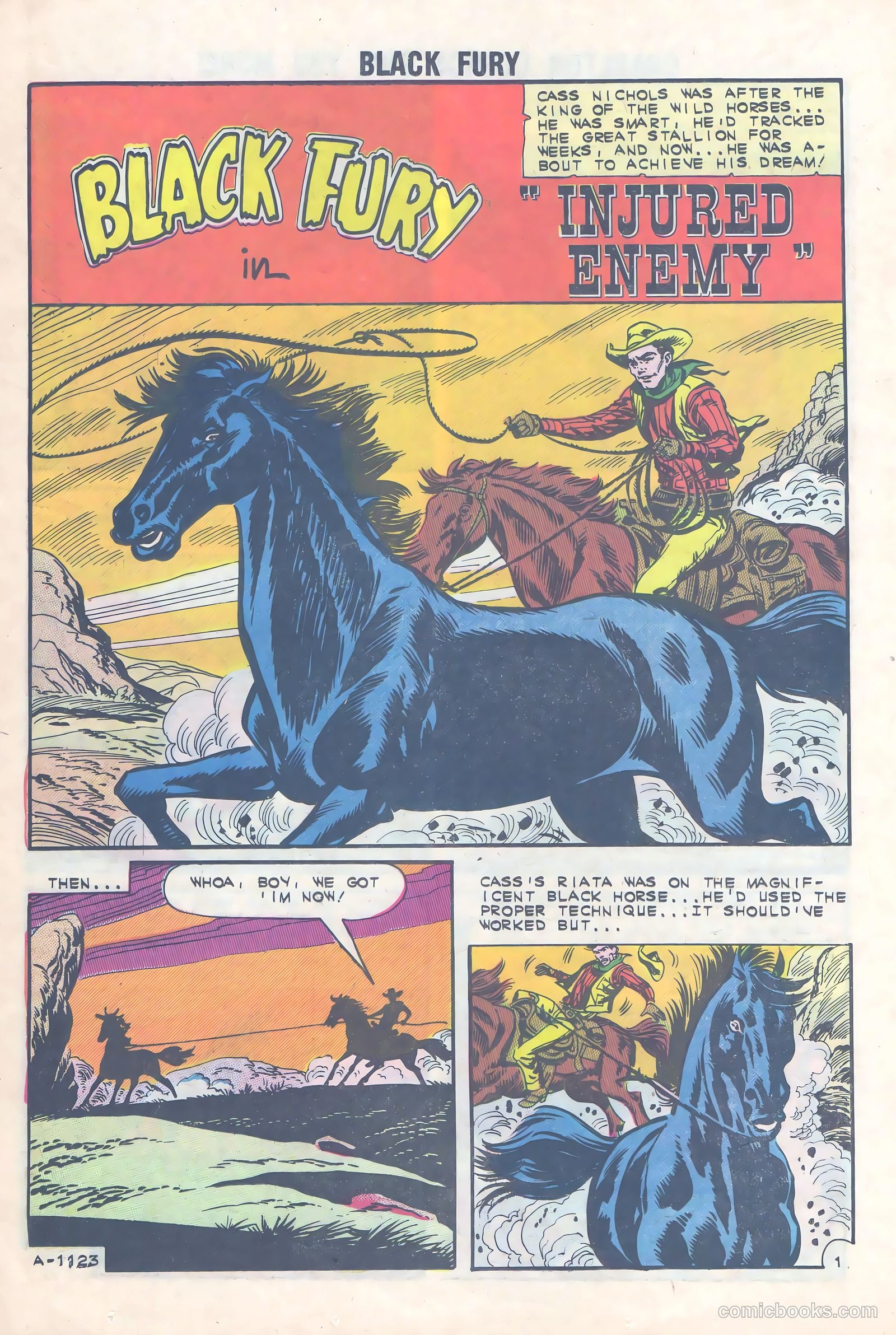 Black Fury #36 — page 12 of 36