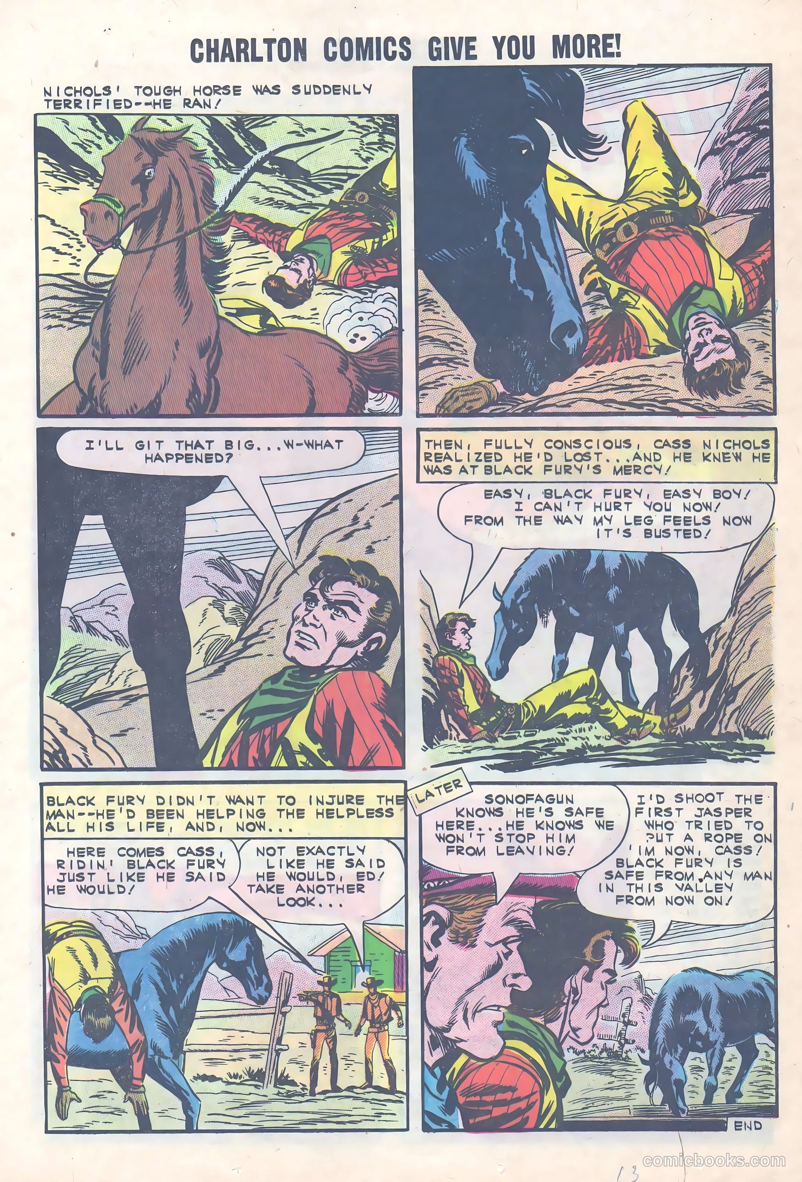 Black Fury #36 — page 13 of 36