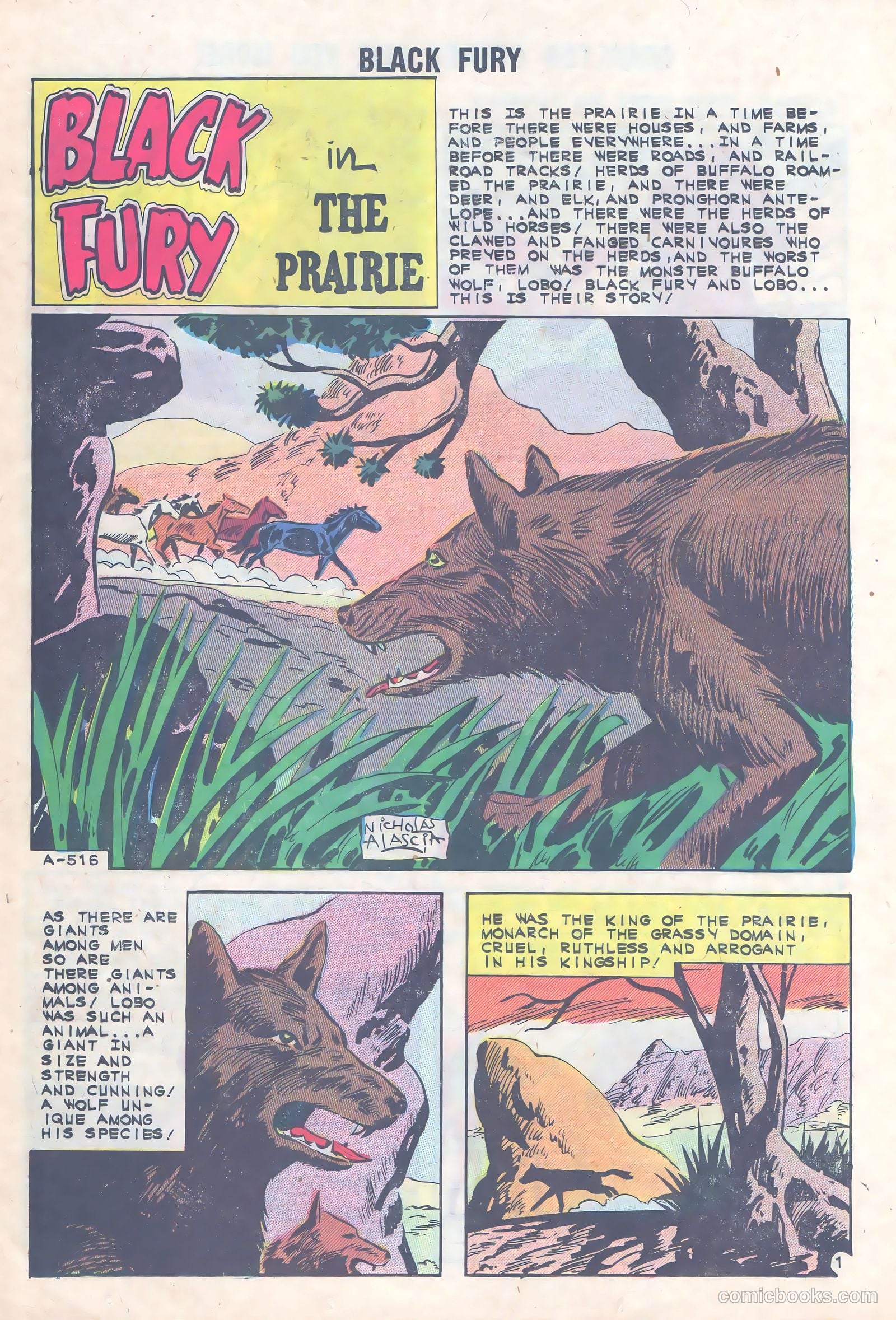 Black Fury #36 — page 14 of 36