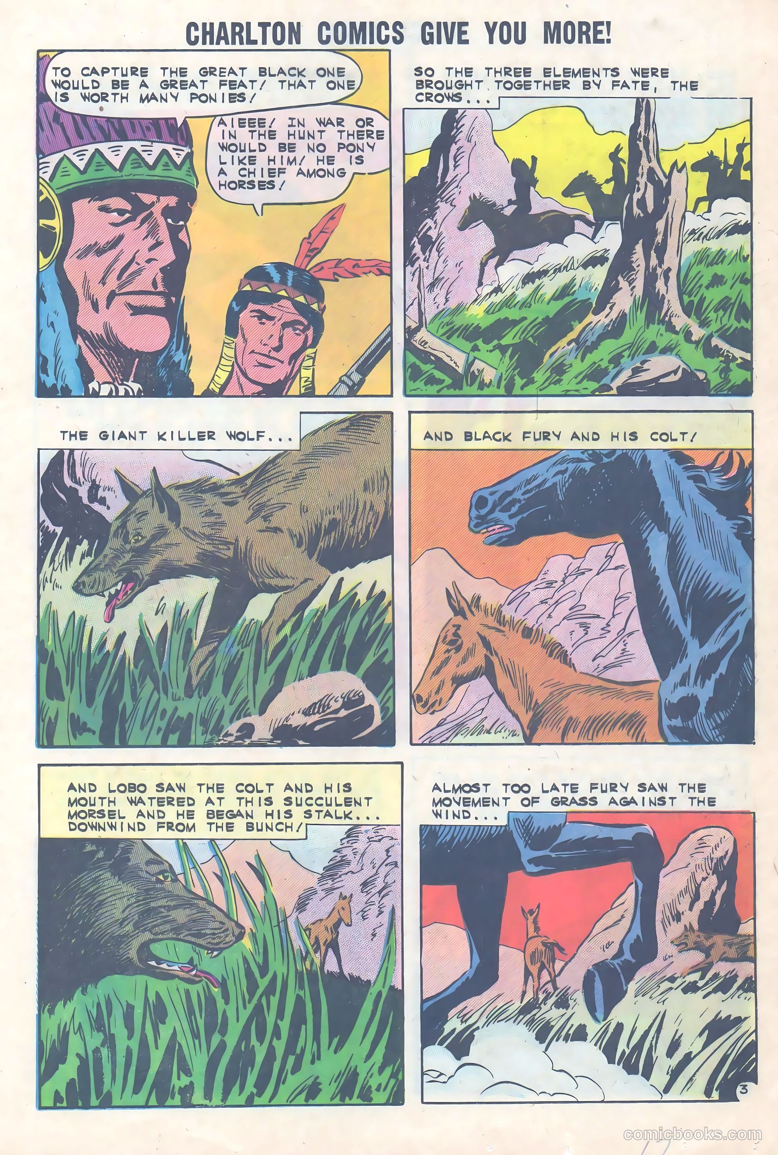 Black Fury #36 — page 17 of 36
