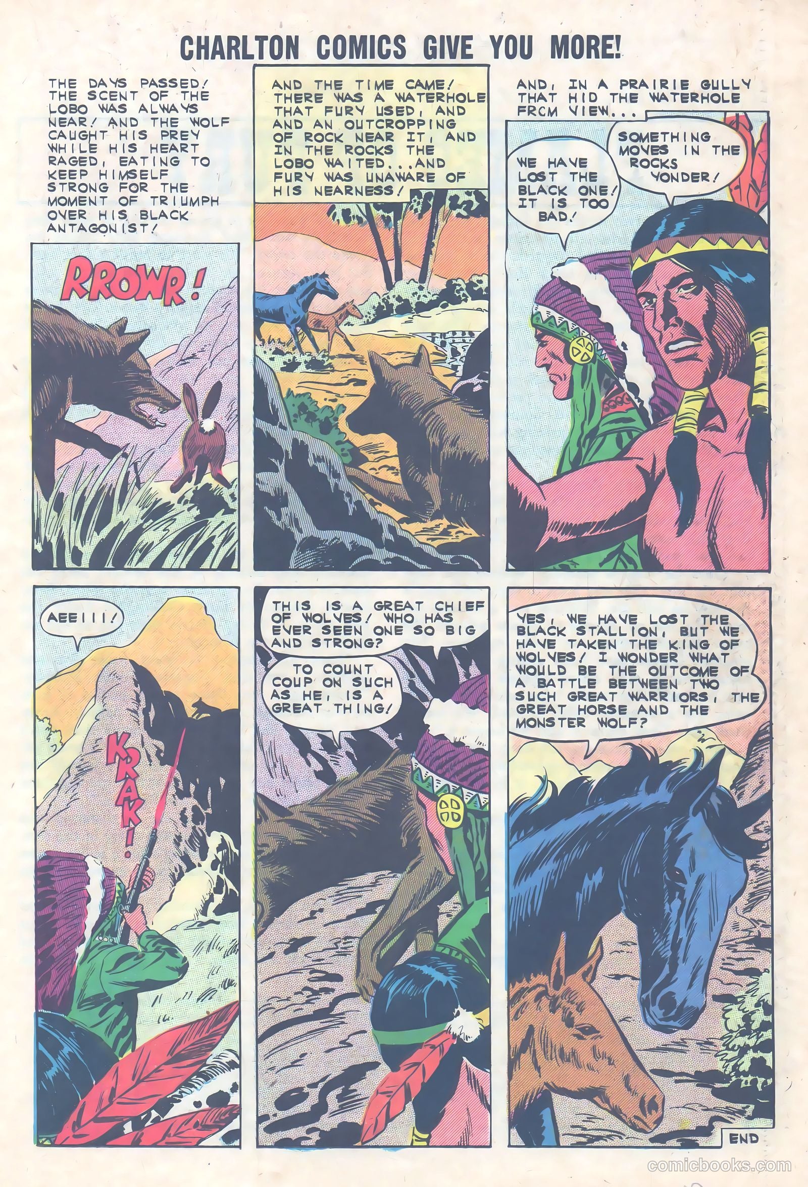 Black Fury #36 — page 19 of 36
