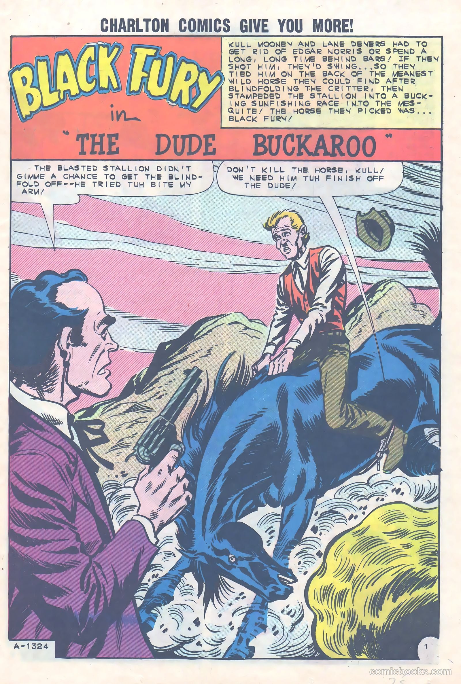 Black Fury #36 — page 25 of 36
