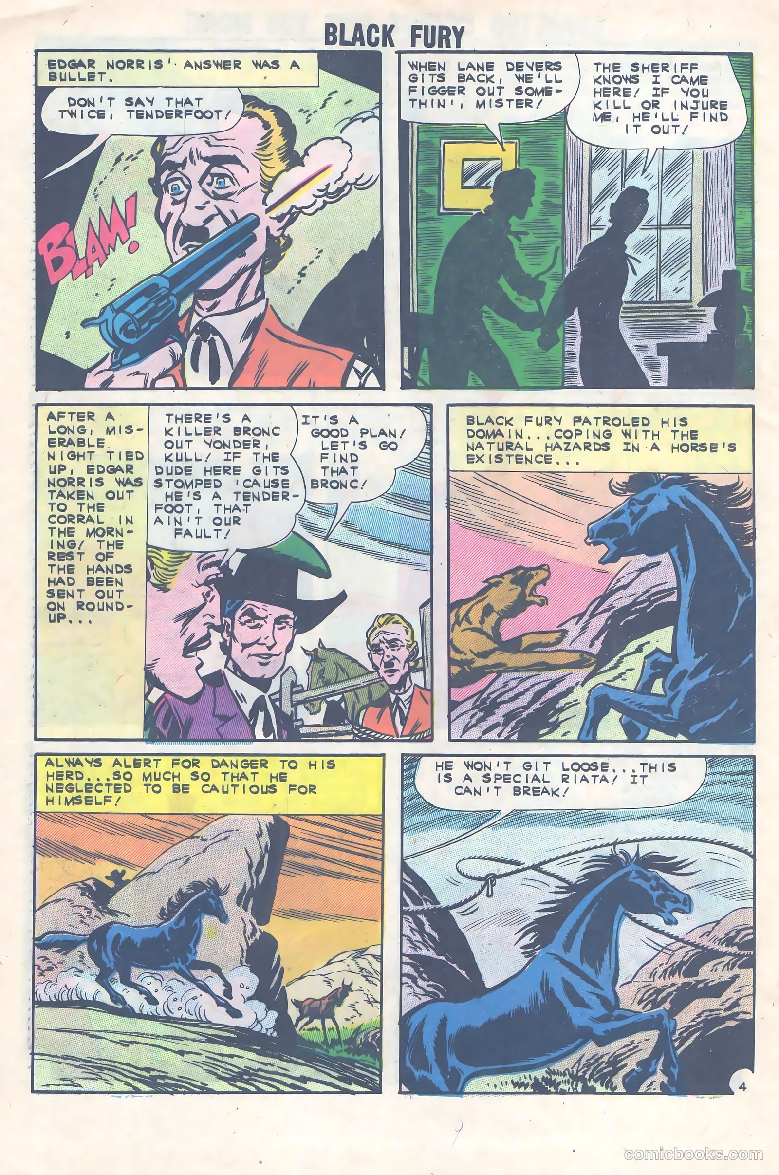 Black Fury #36 — page 28 of 36