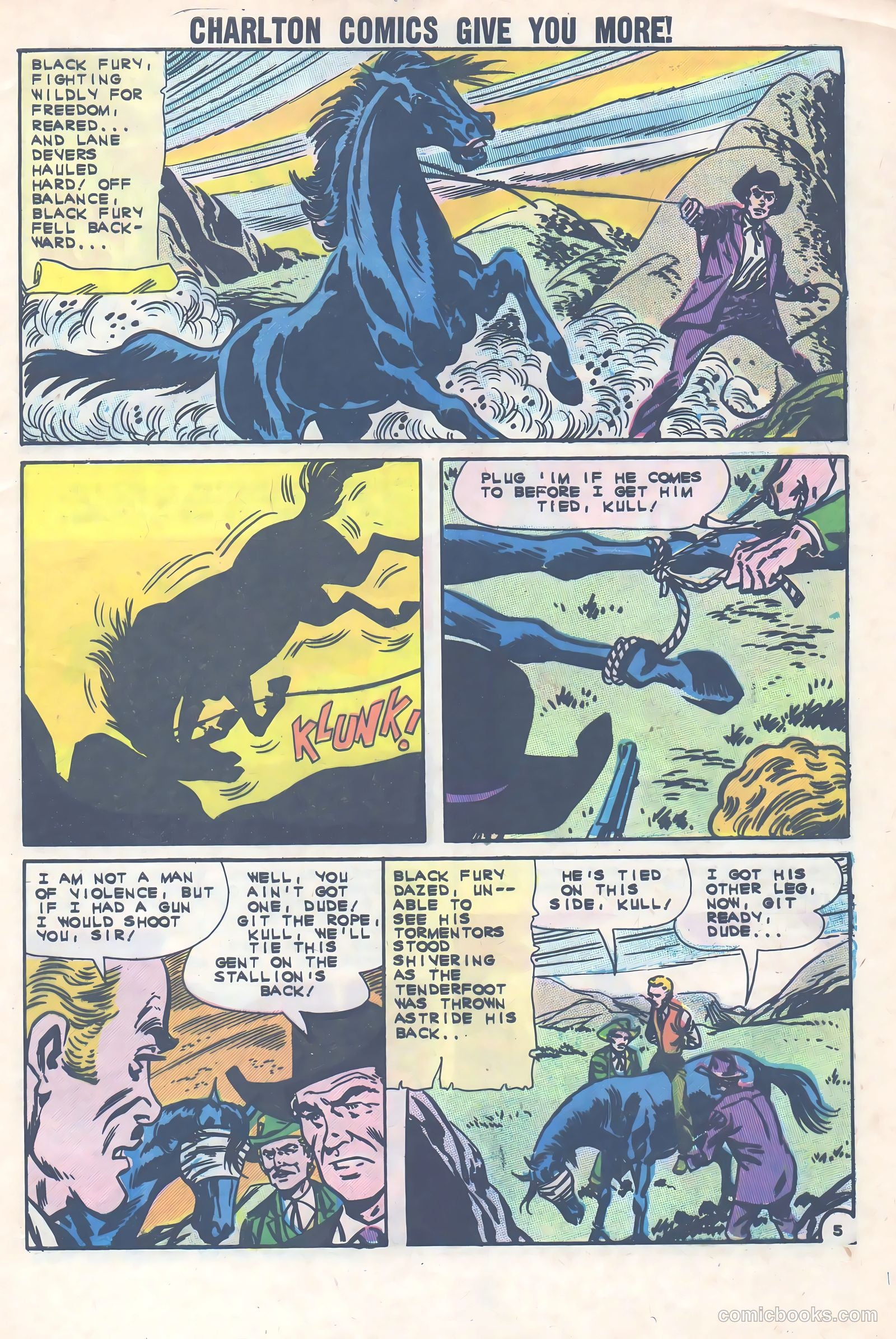 Black Fury #36 — page 29 of 36