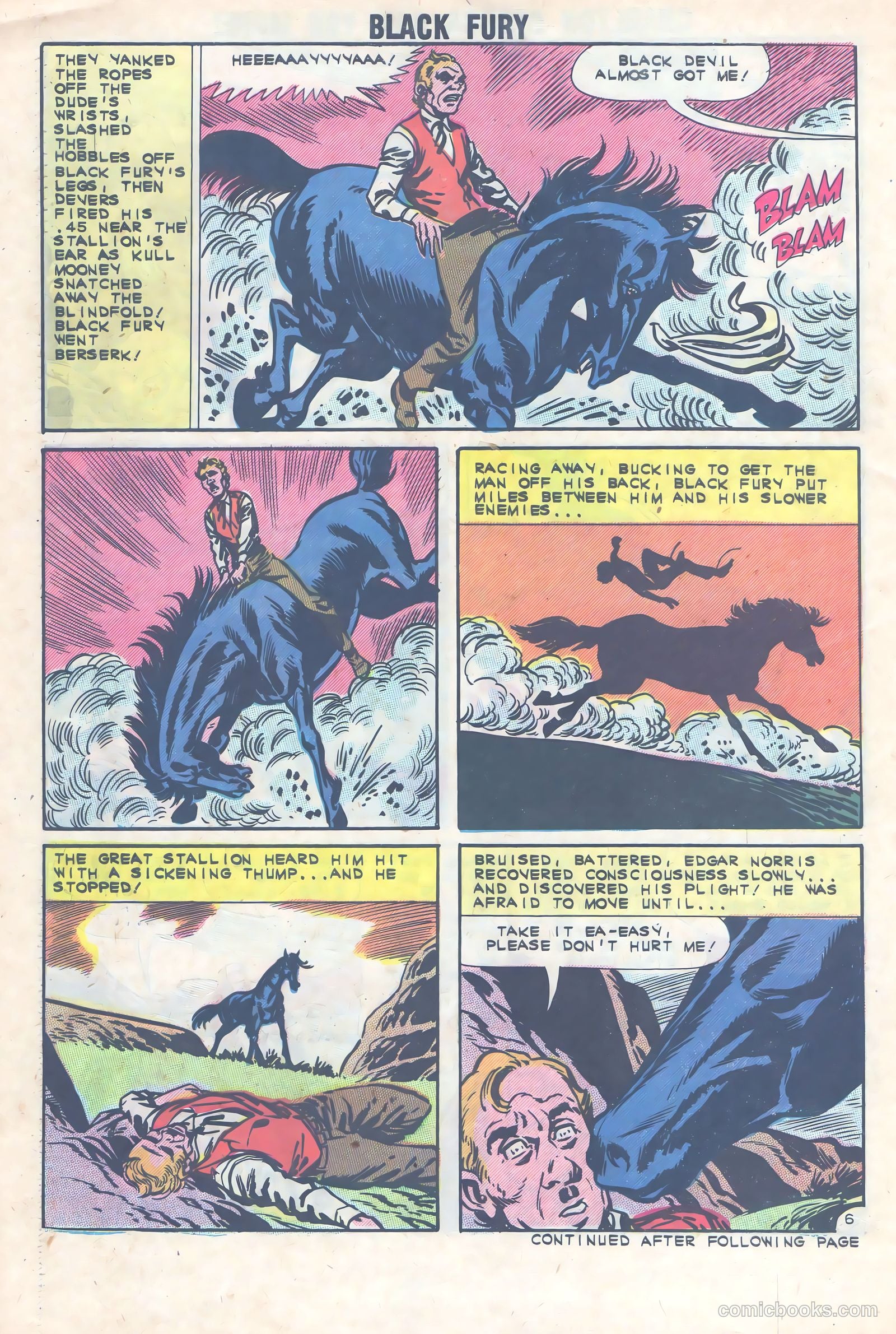 Black Fury #36 — page 30 of 36