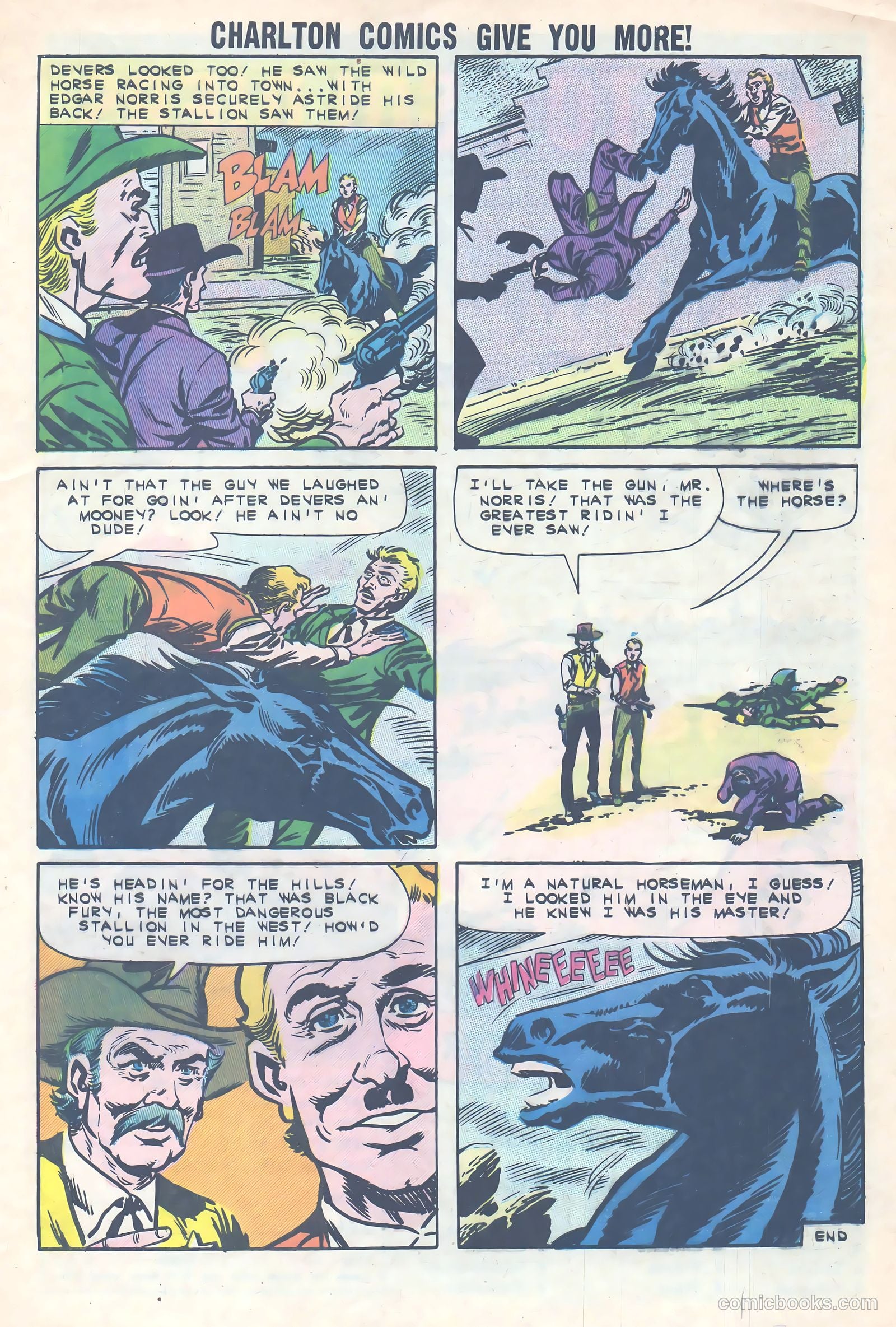 Black Fury #36 — page 33 of 36