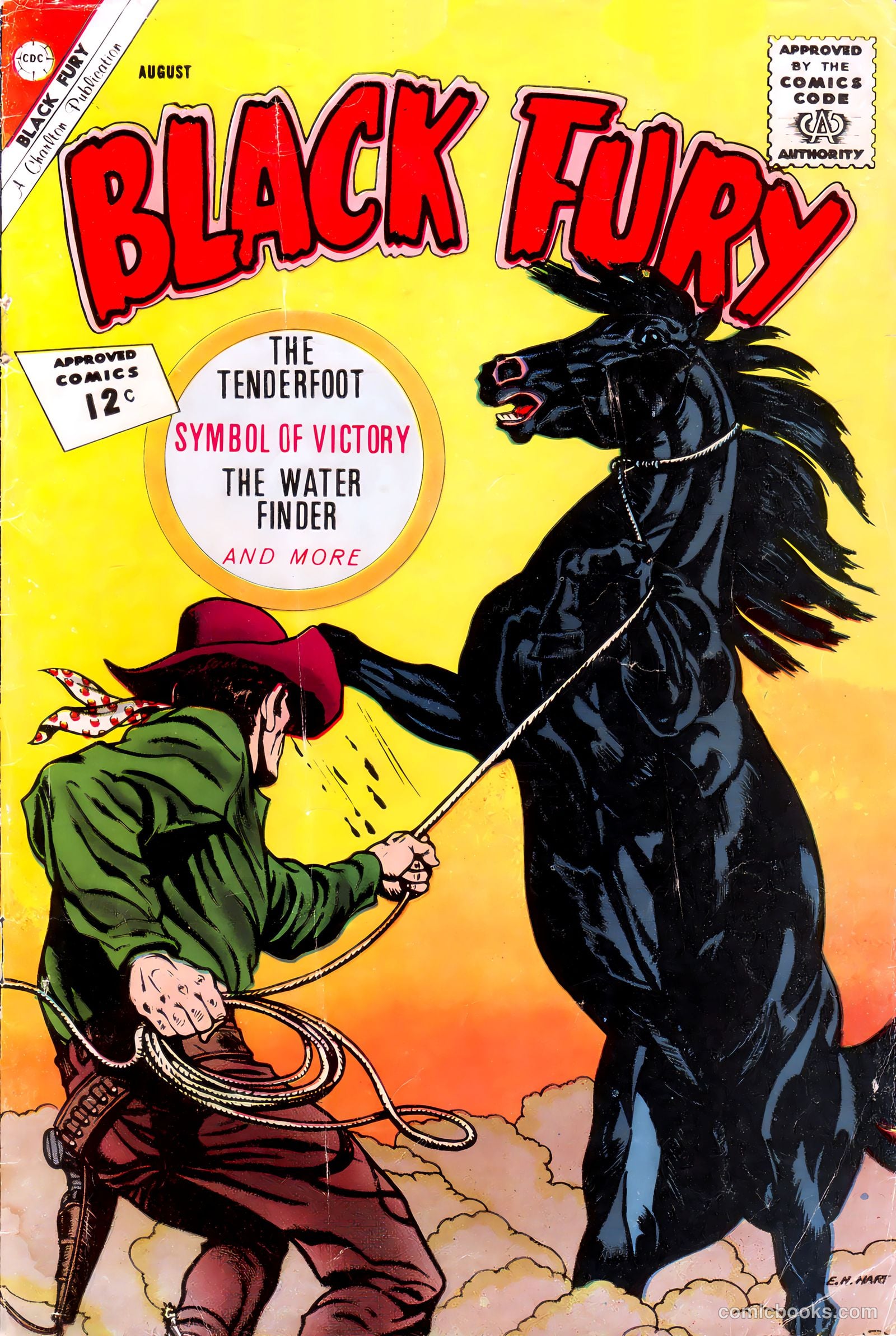 Black Fury #37 — page 1 of 36
