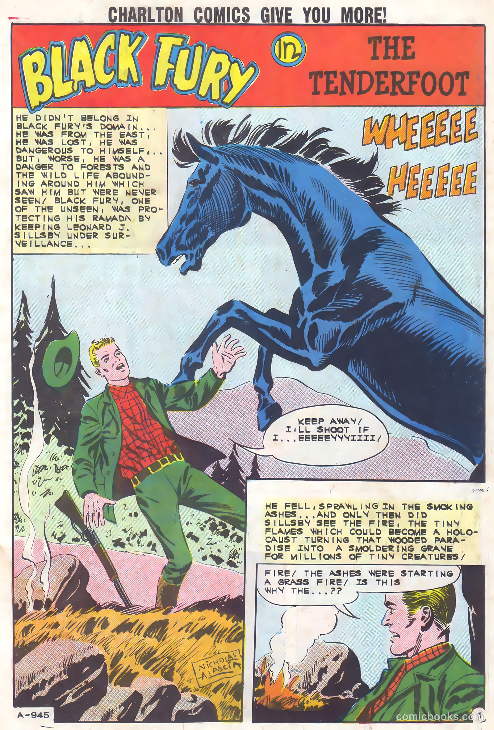 Black Fury #37 — page 3 of 36