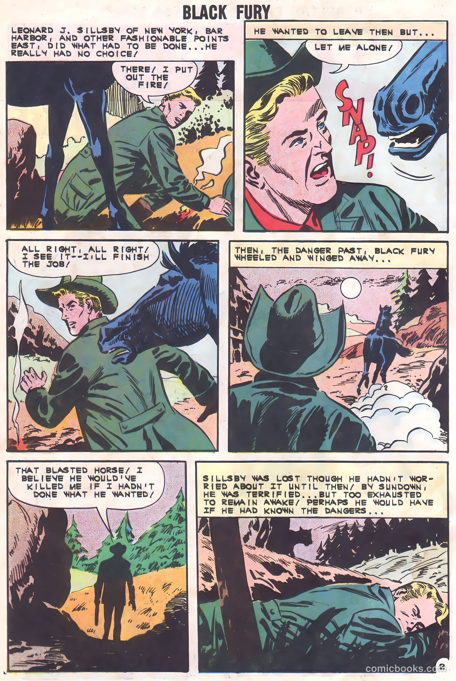 Black Fury #37 — page 4 of 36
