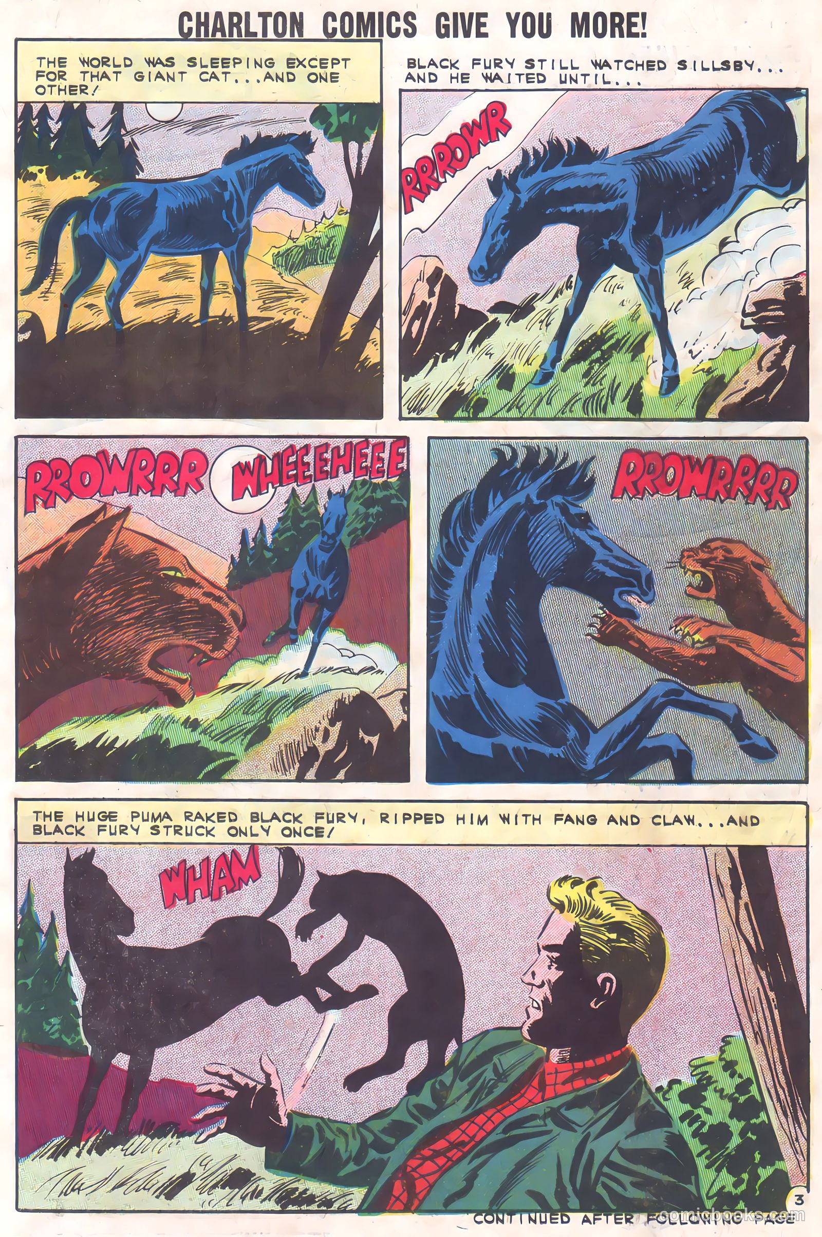 Black Fury #37 — page 5 of 36