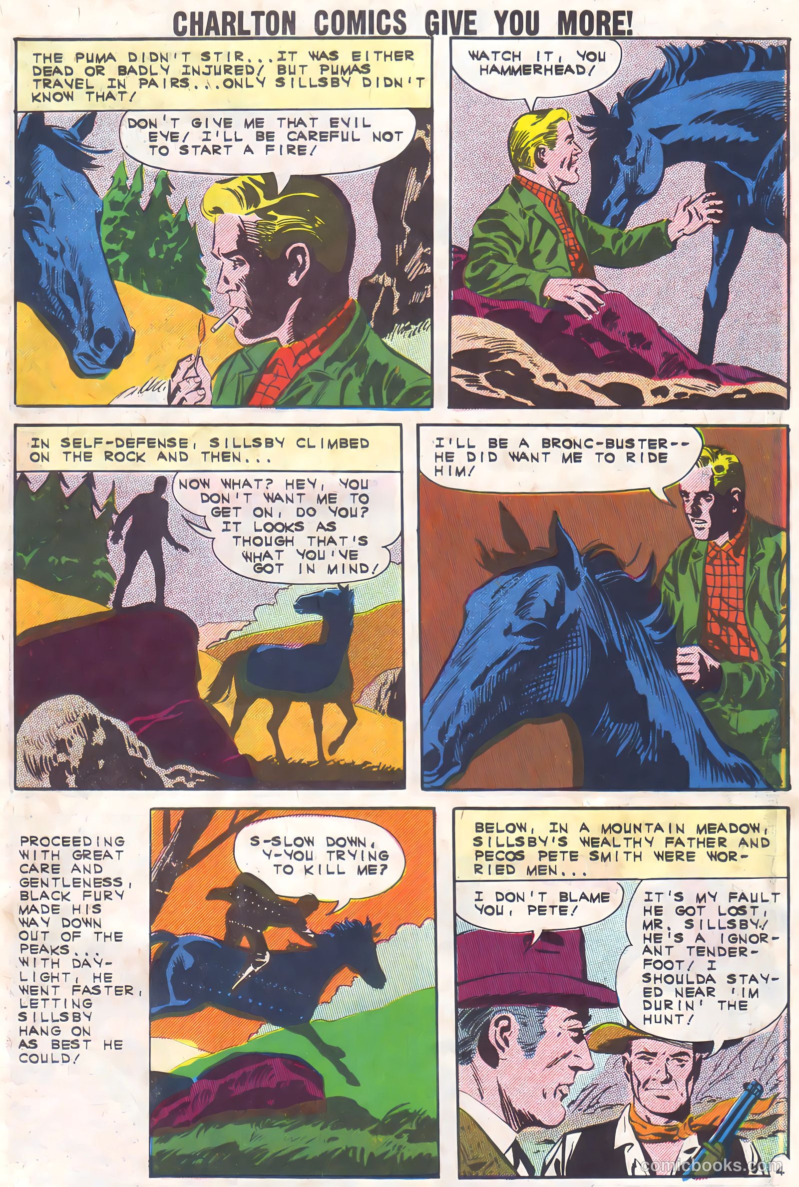 Black Fury #37 — page 7 of 36