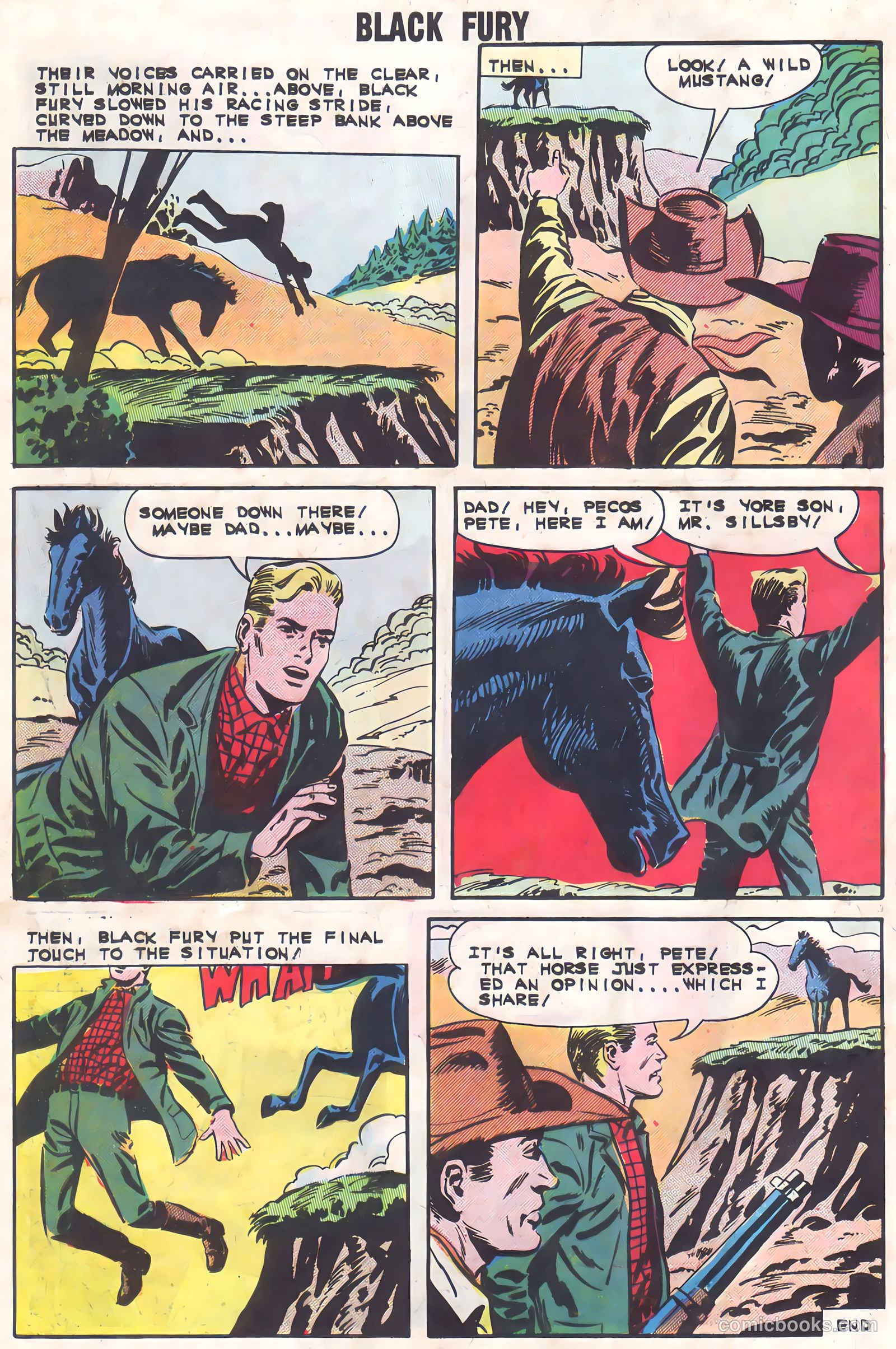 Black Fury #37 — page 8 of 36