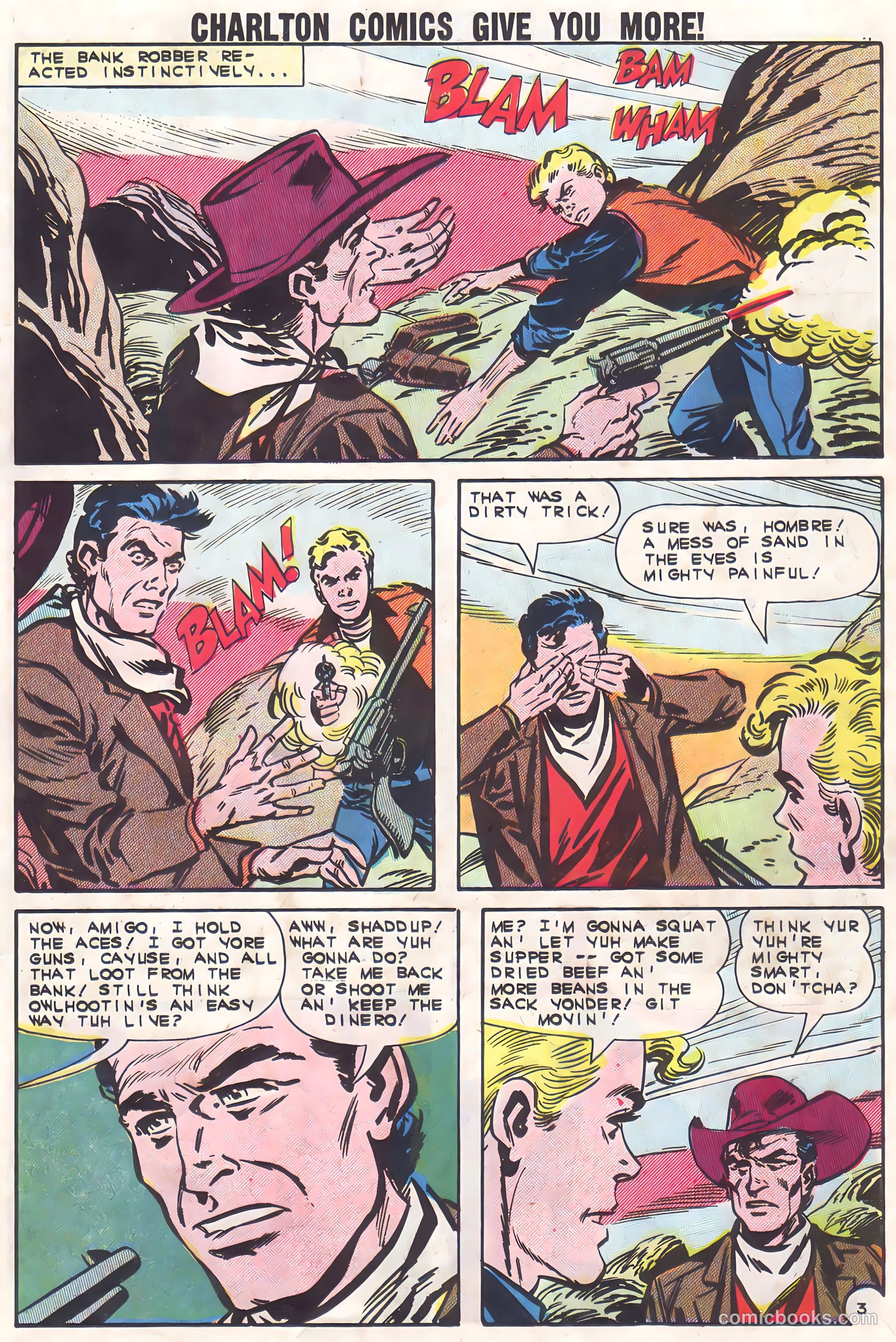 Black Fury #37 — page 13 of 36