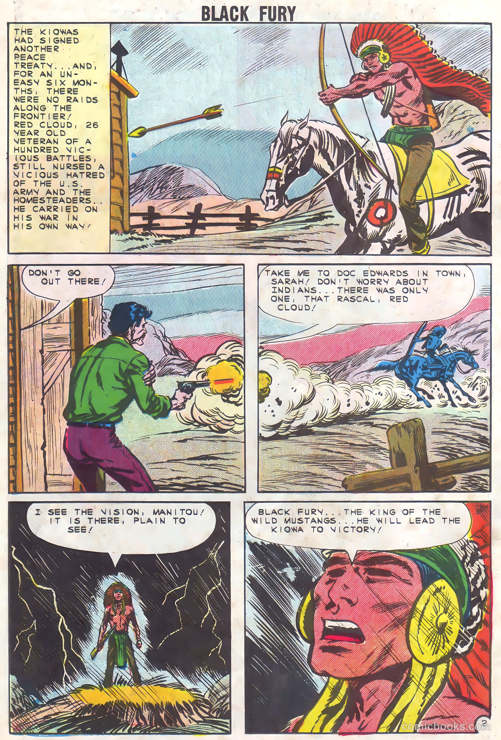 Black Fury #37 — page 18 of 36
