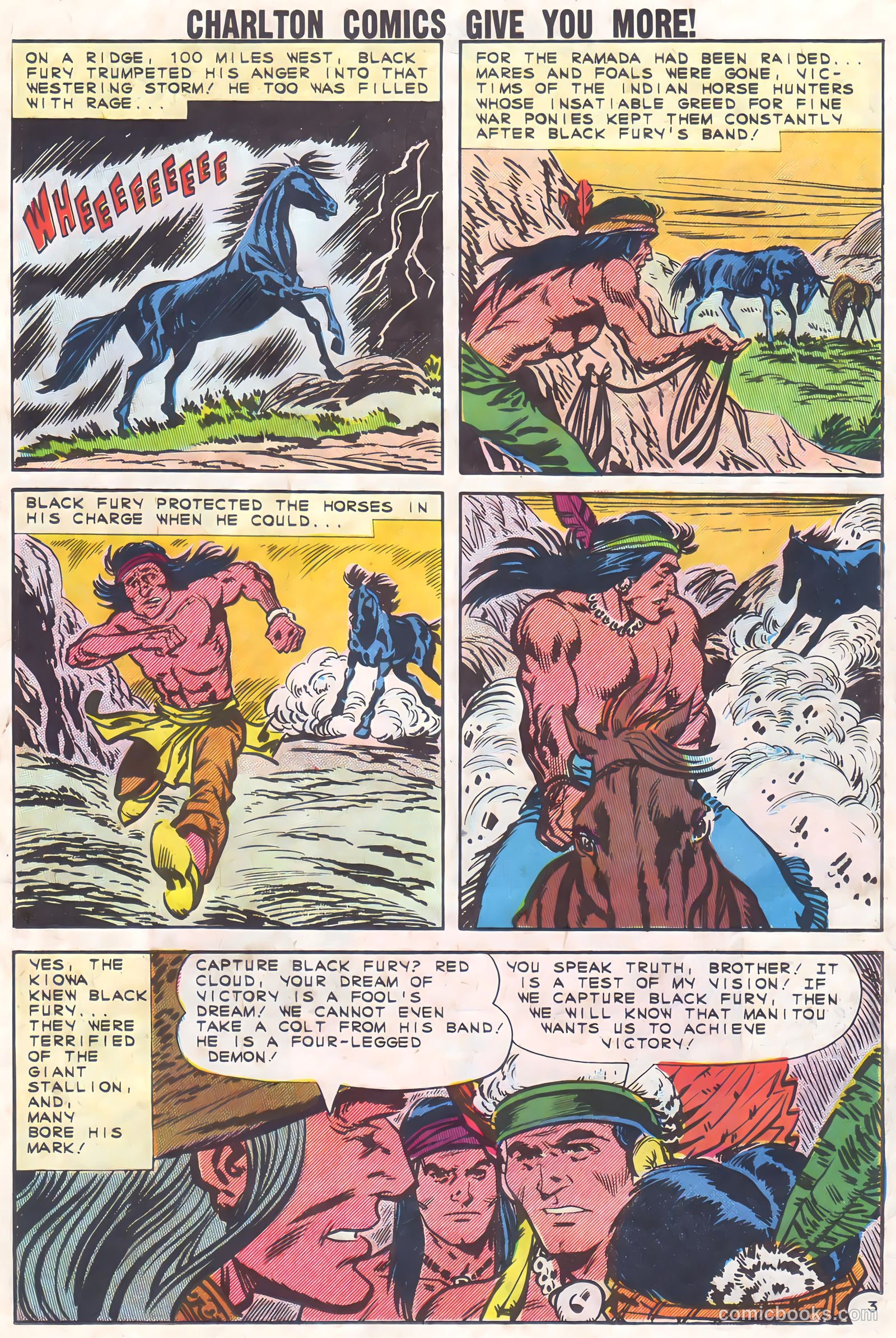 Black Fury #37 — page 19 of 36
