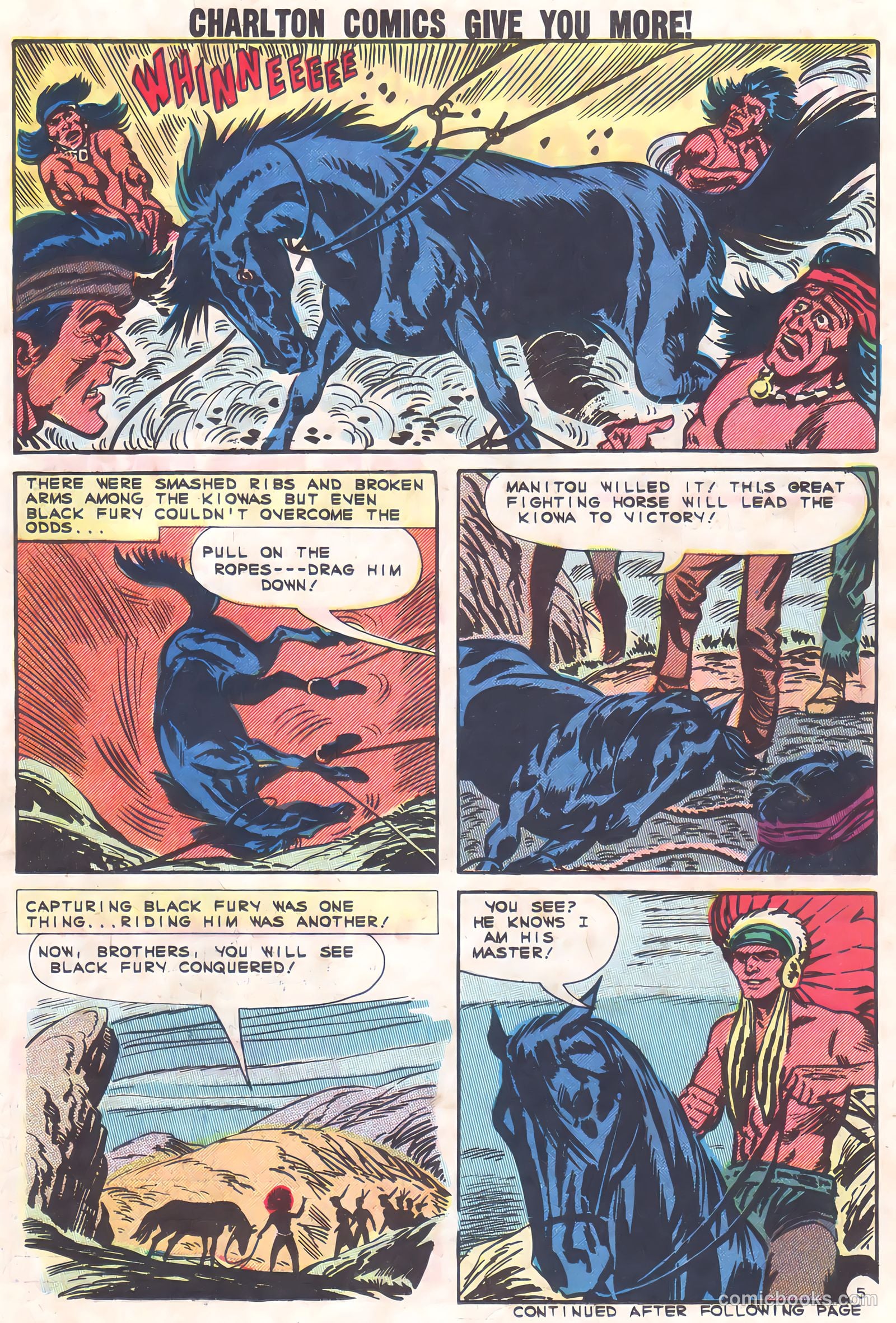 Black Fury #37 — page 21 of 36