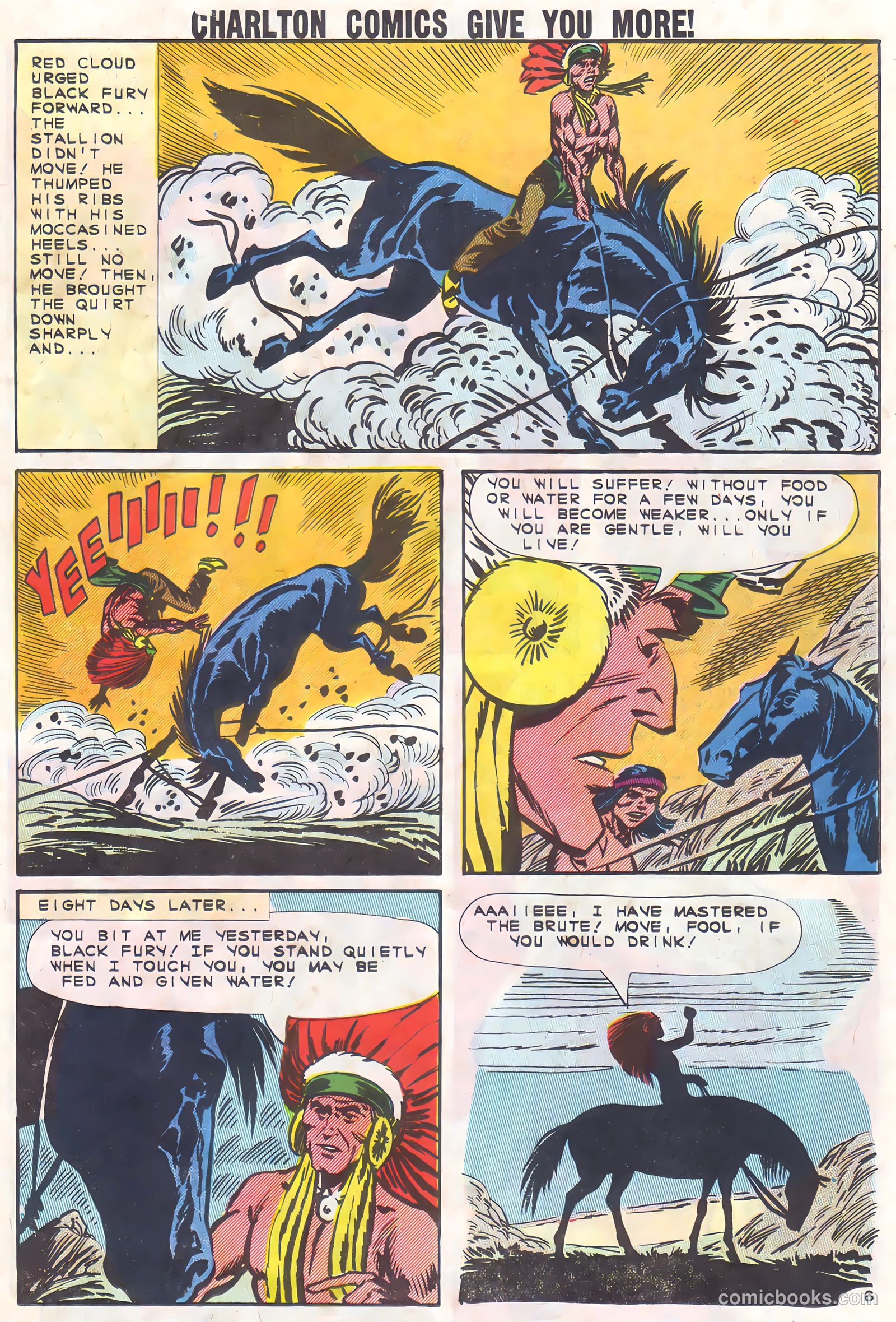 Black Fury #37 — page 23 of 36