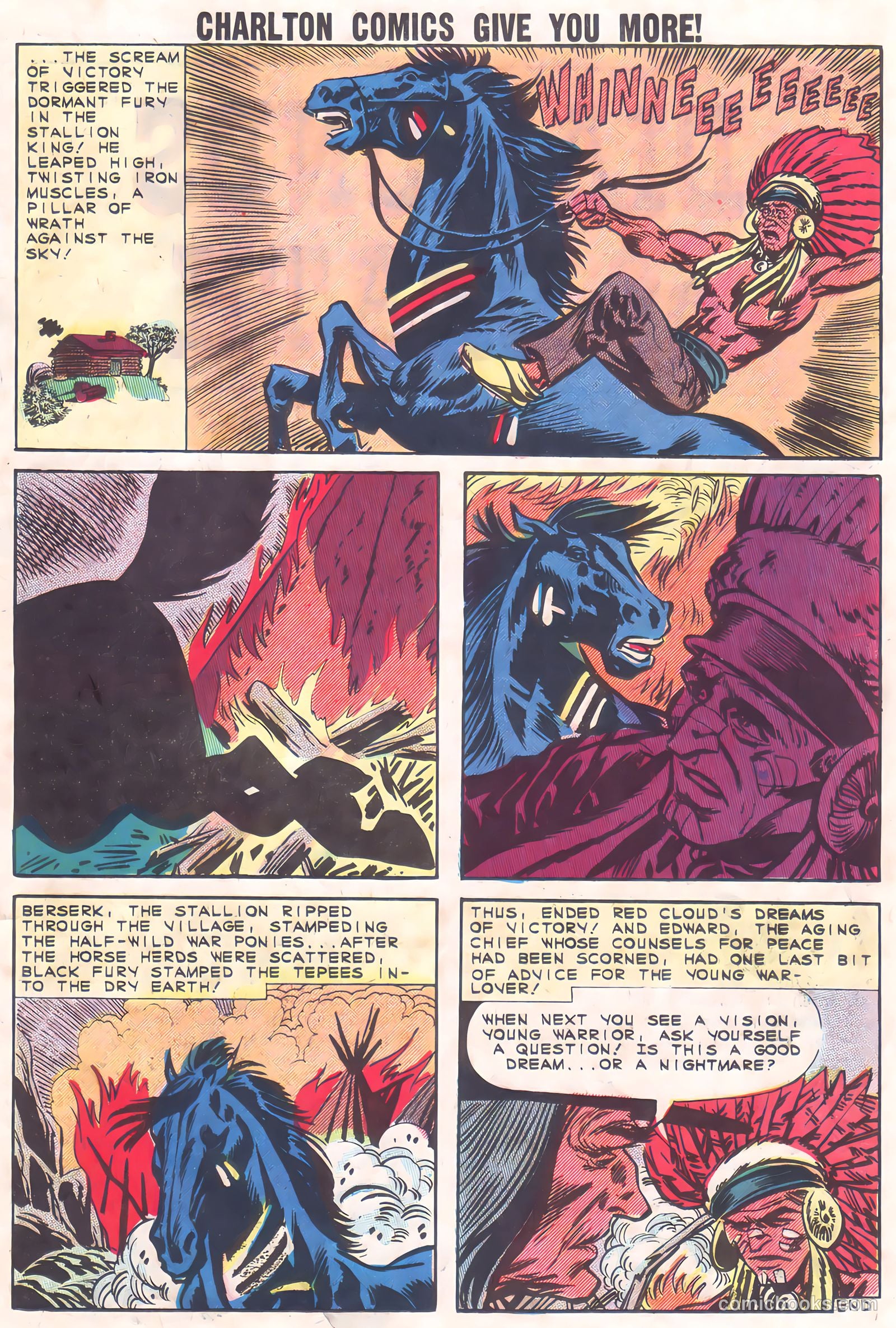 Black Fury #37 — page 25 of 36