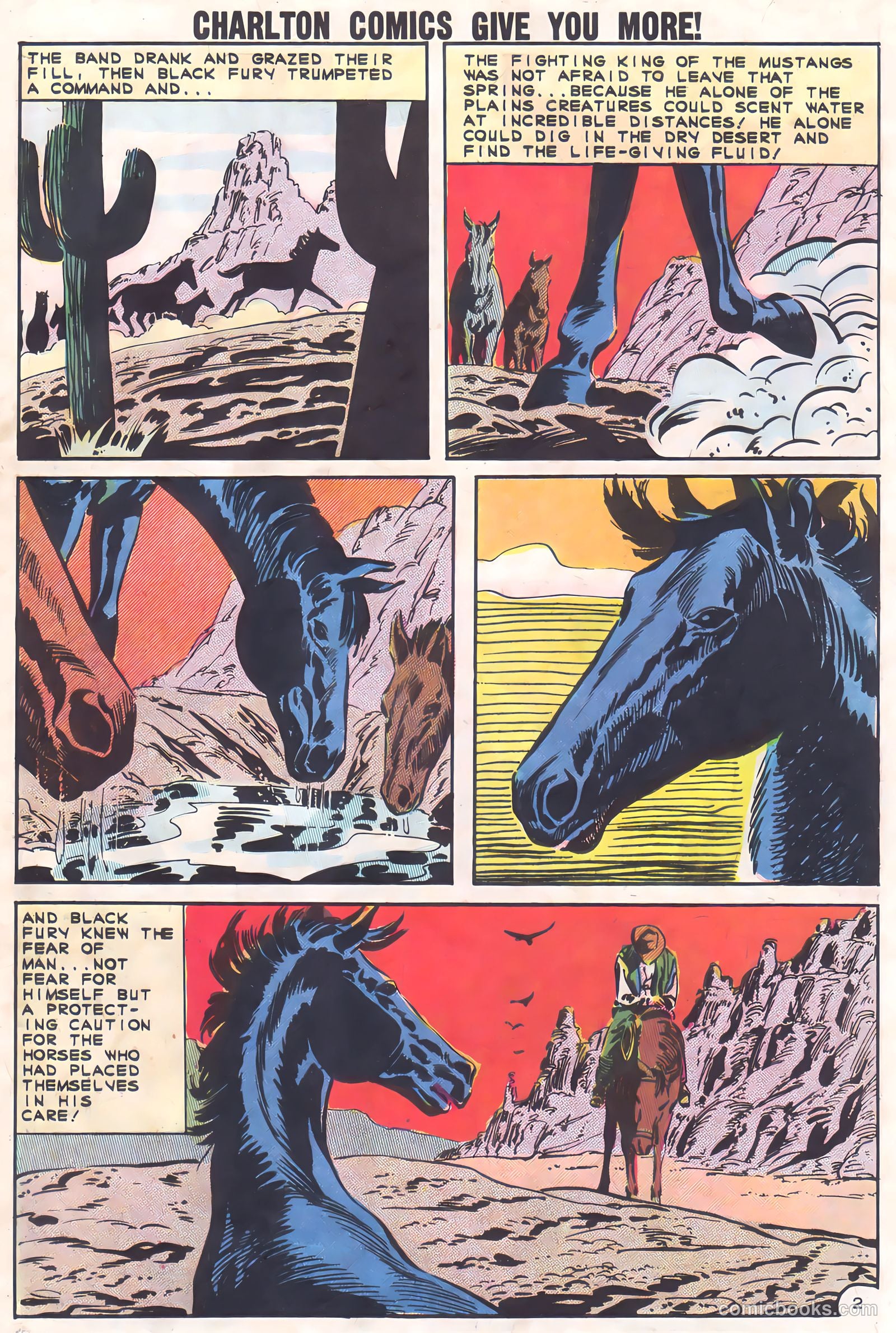 Black Fury #37 — page 29 of 36