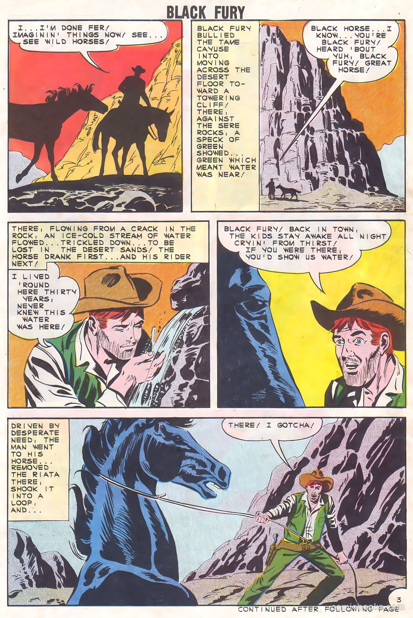 Black Fury #37 — page 30 of 36