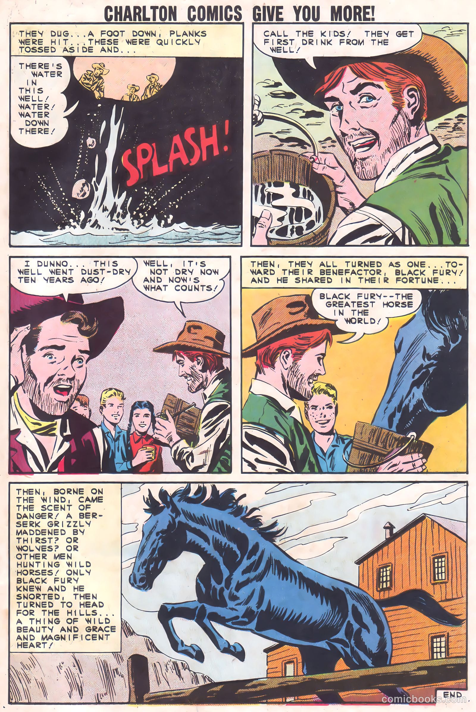 Black Fury #37 — page 33 of 36