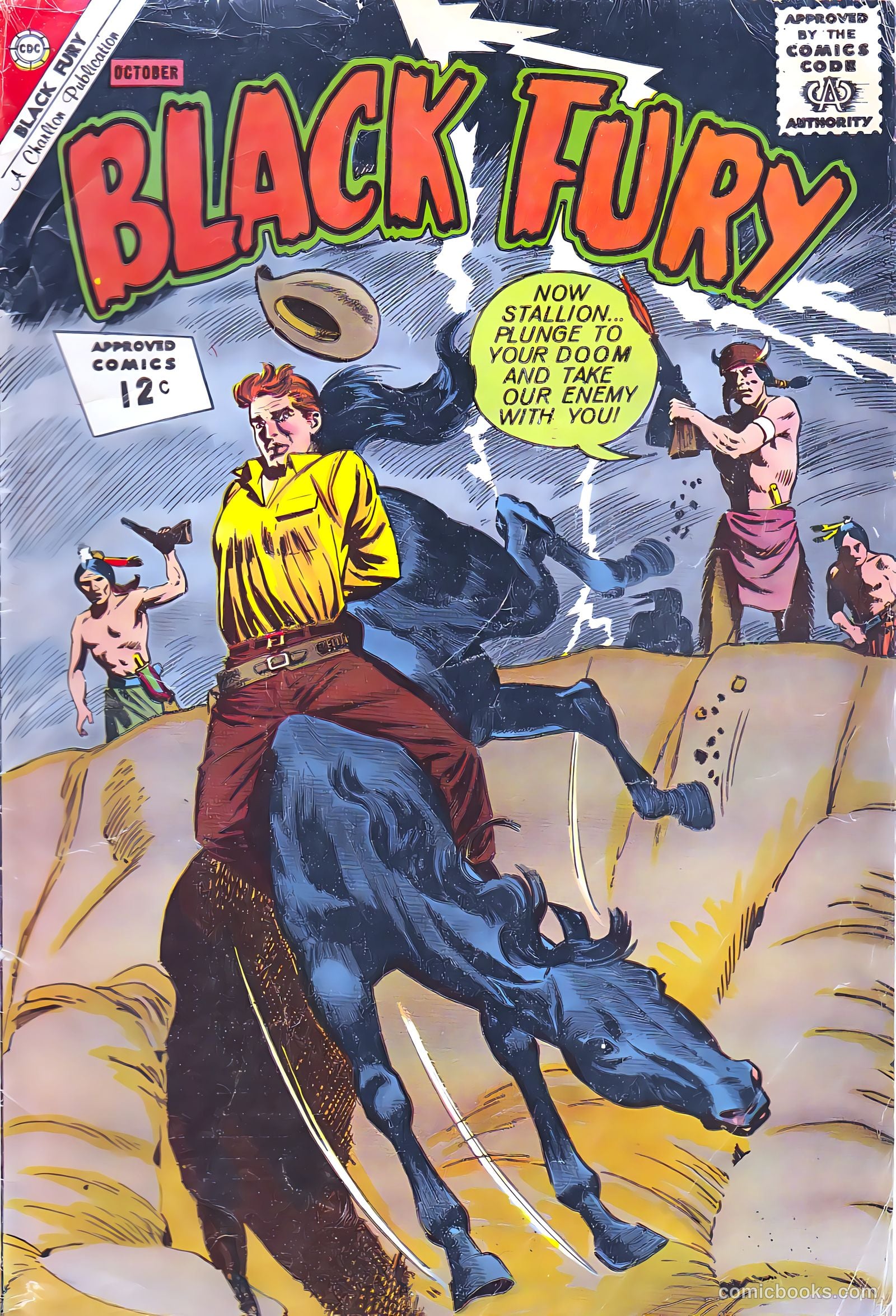 Black Fury #38 — page 1 of 36